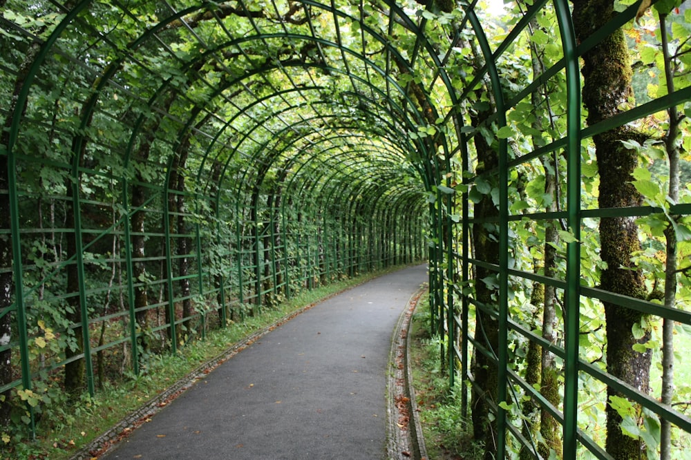 a walkway in the middle of a green tunnel