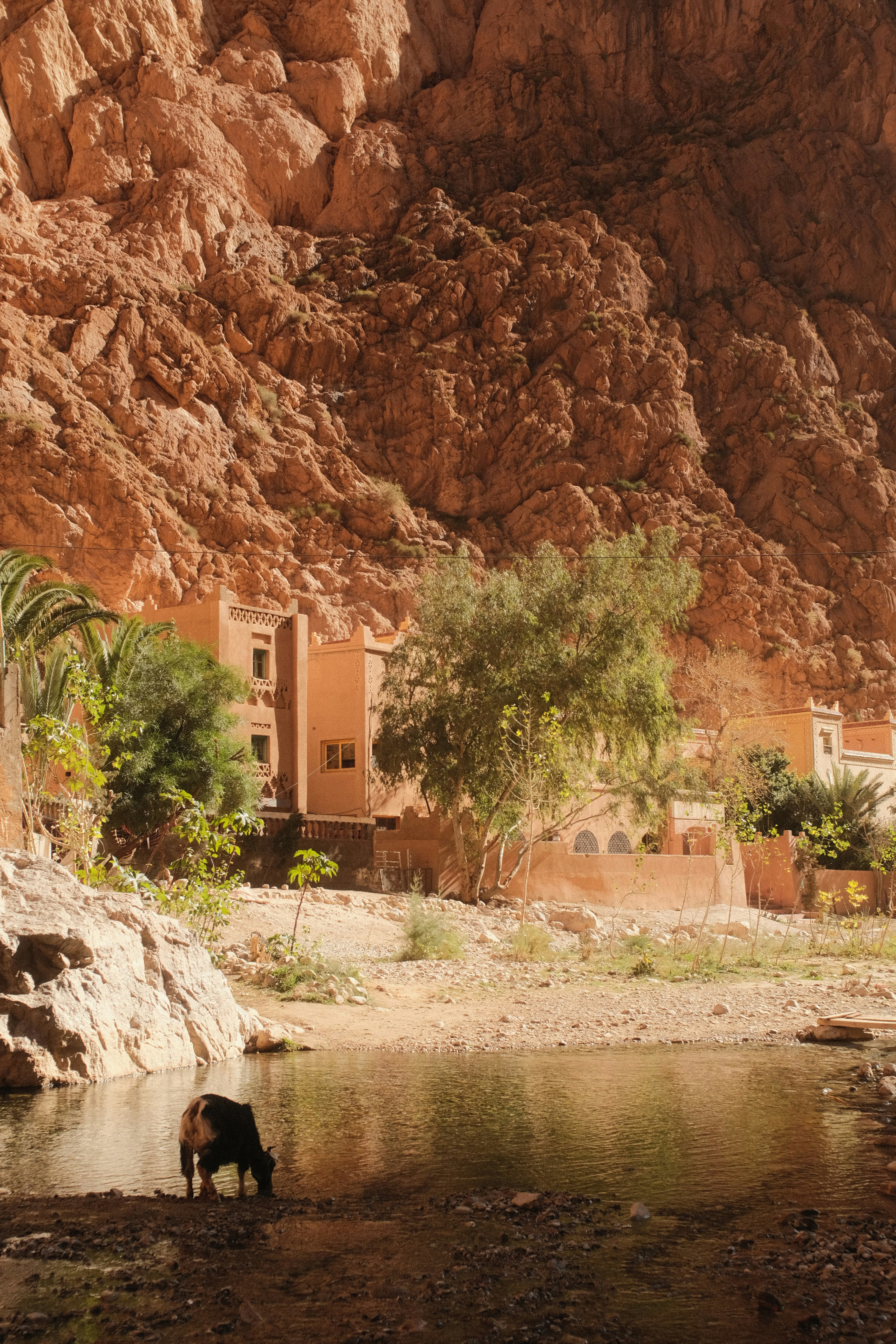 Join Us on a Journey to Sustainable Living: Eco-Friendly Practices in Morocco