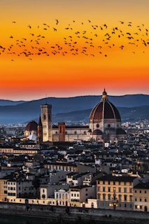 a flock of birds flying over a city at sunset