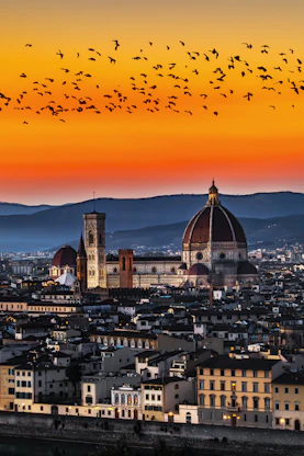 a flock of birds flying over a city at sunset