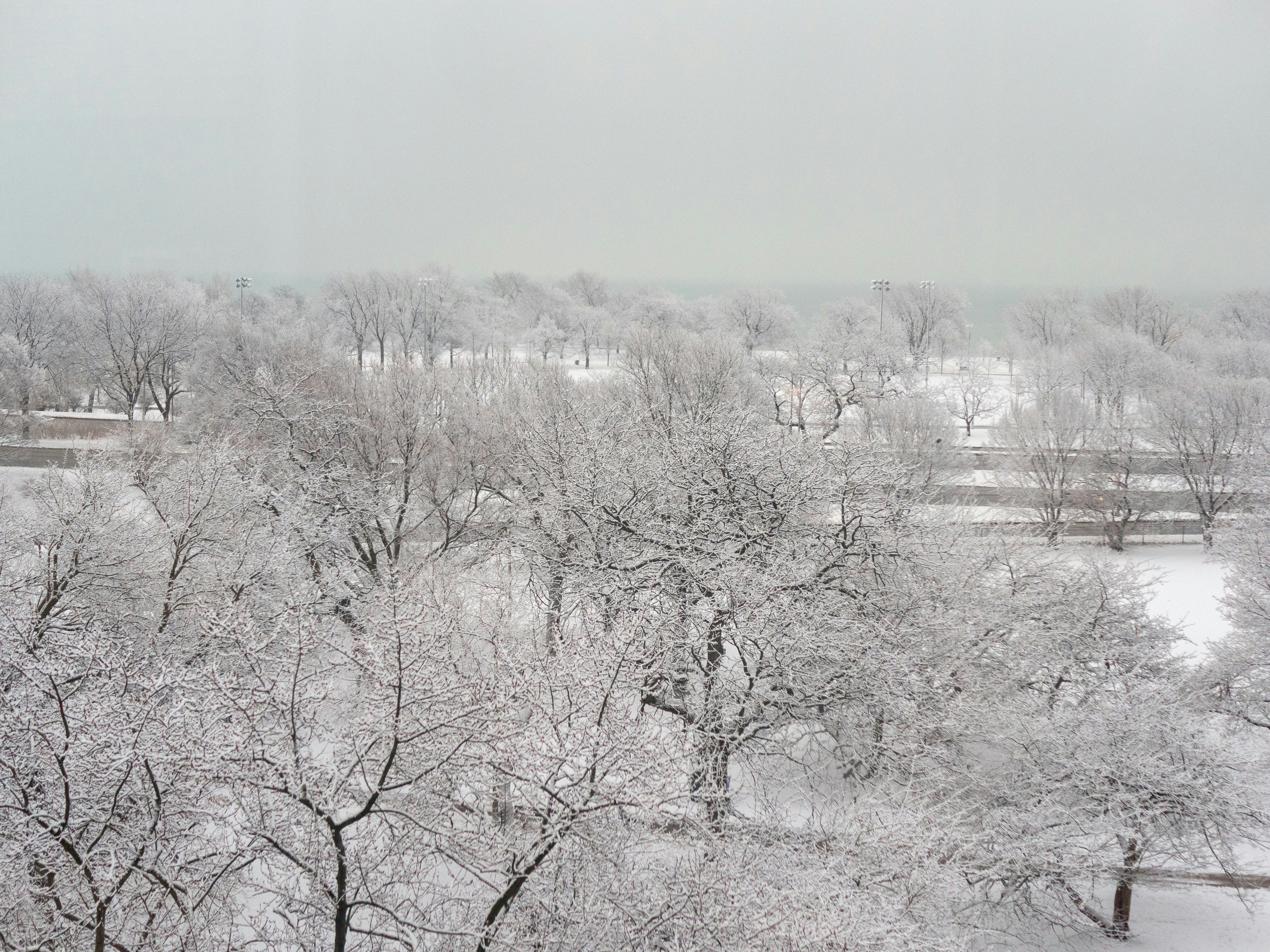 Photo by lbechdol