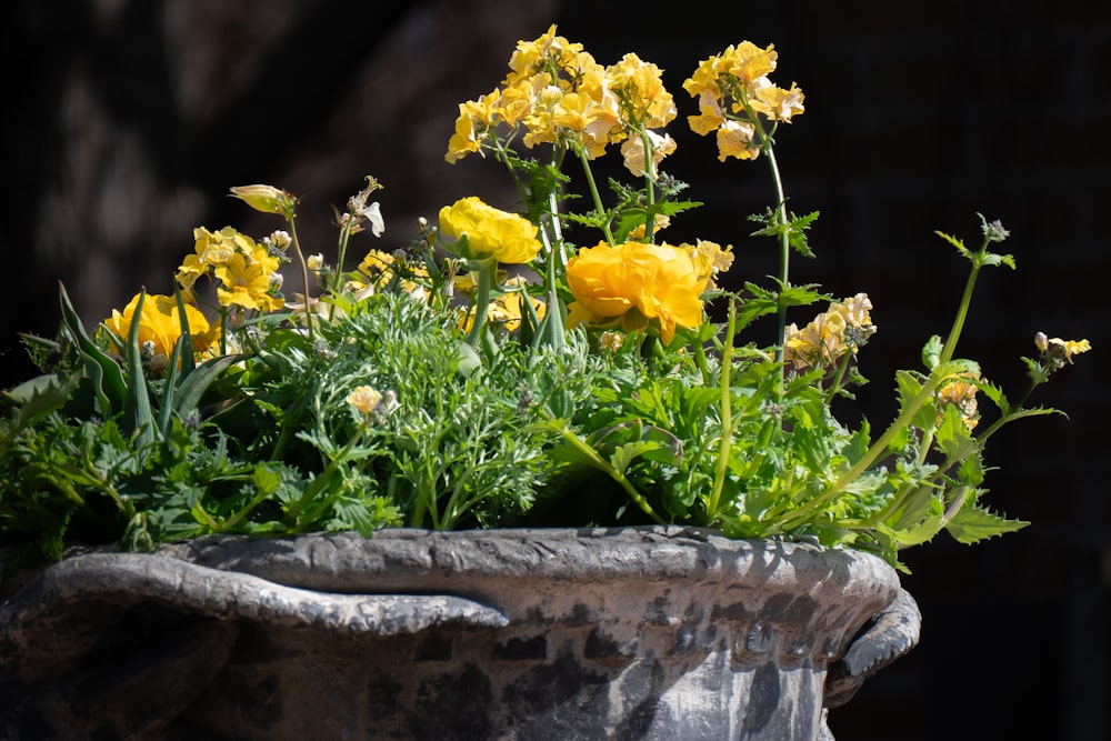 a planter filled with lots of yellow flowers