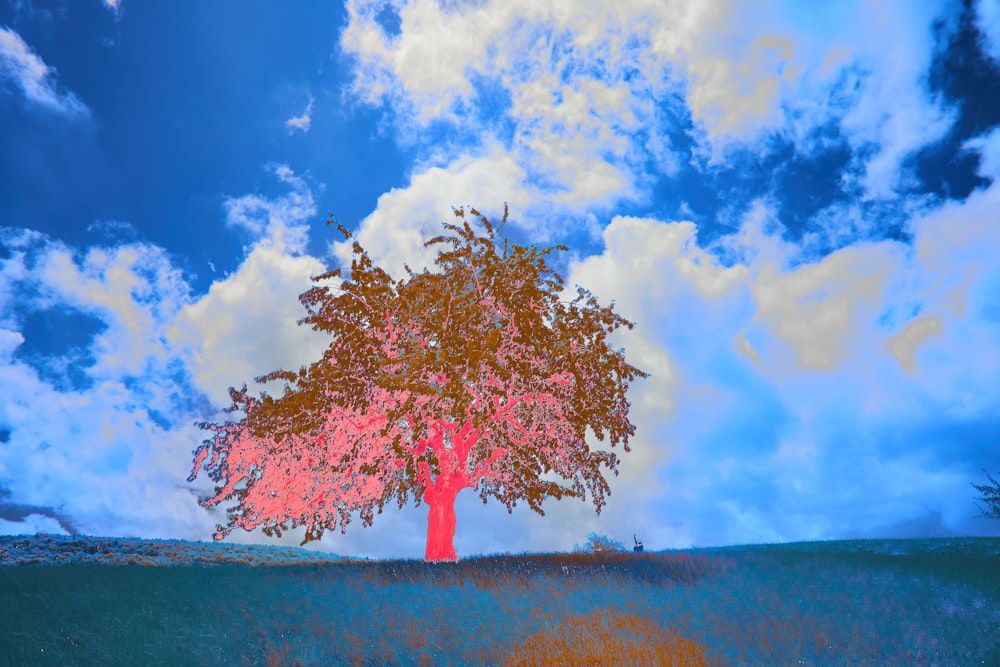 a red tree in a field under a cloudy blue sky
