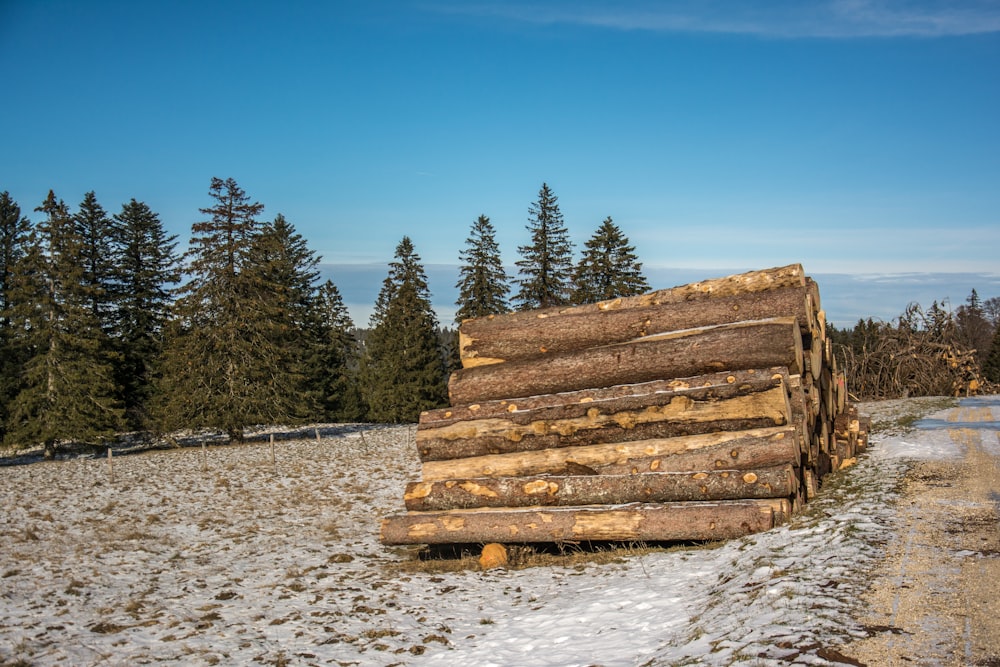 a pile of logs sitting on top of a snow covered field