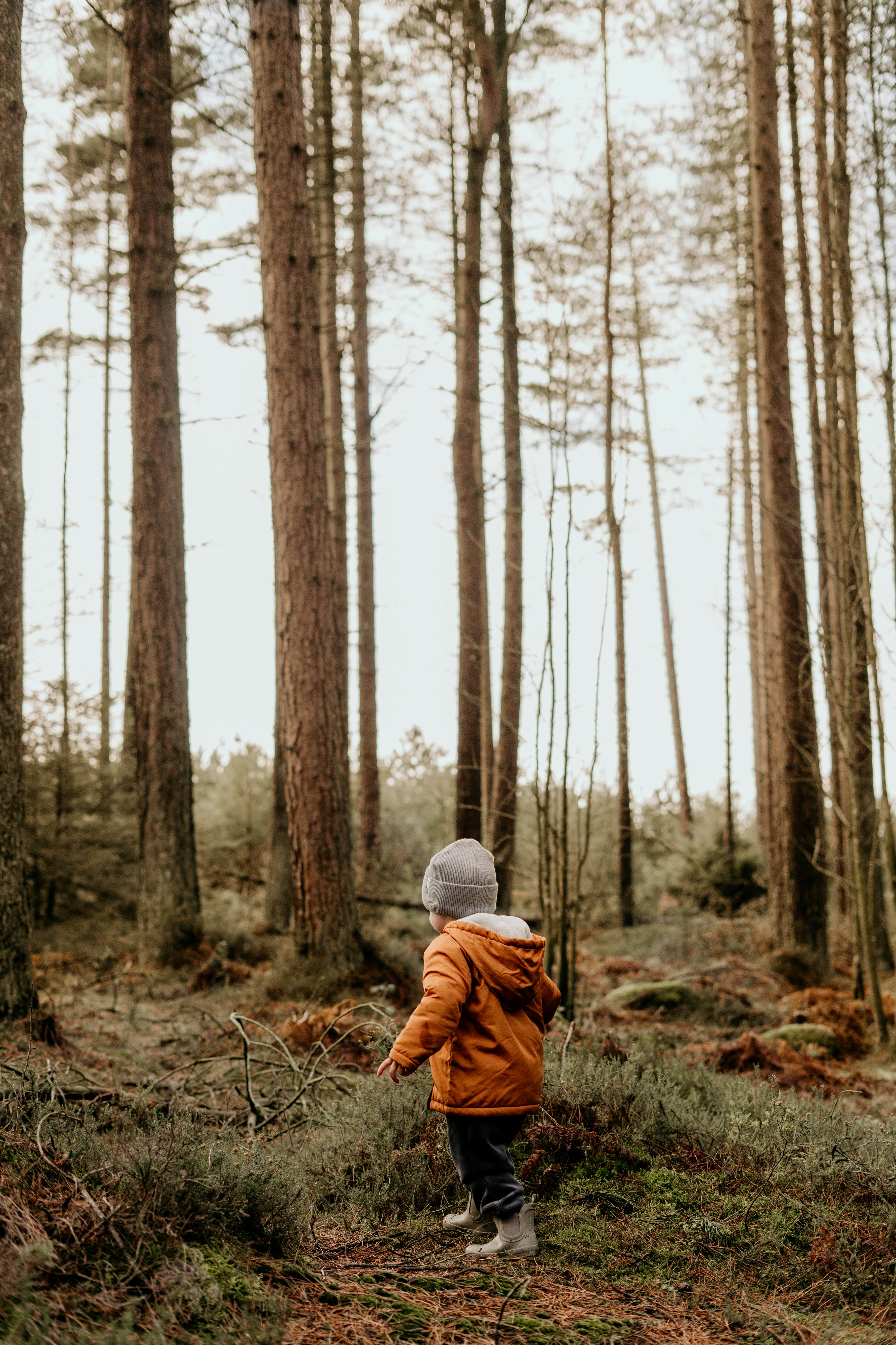 나무가 많은 숲을 걷는 어린 소년