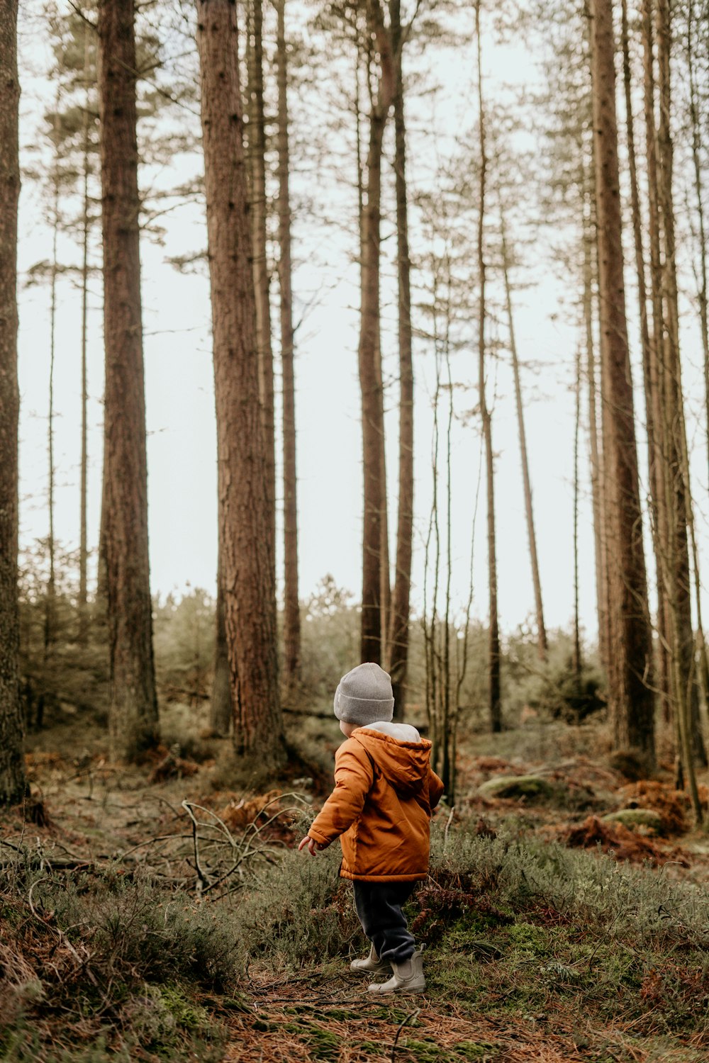 a little boy walking through a forest with lots of trees