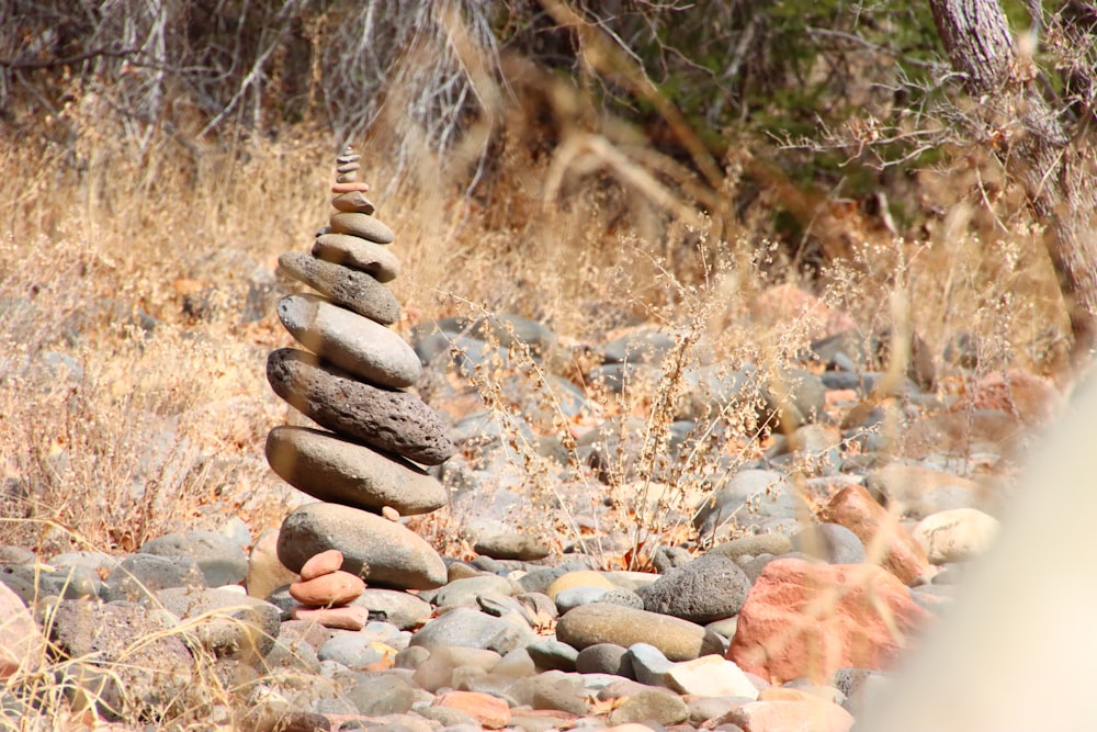 a pile of rocks sitting on top of a dry grass field