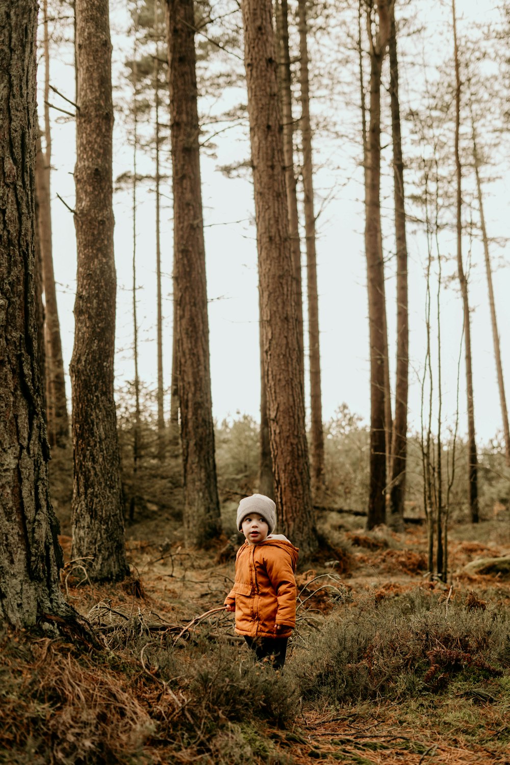 a little boy standing in the middle of a forest