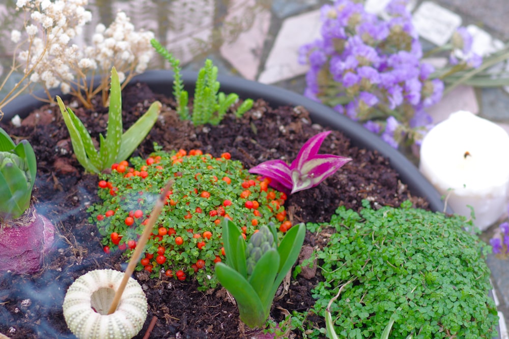 a pot filled with lots of different types of plants