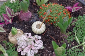 a garden filled with lots of plants and flowers