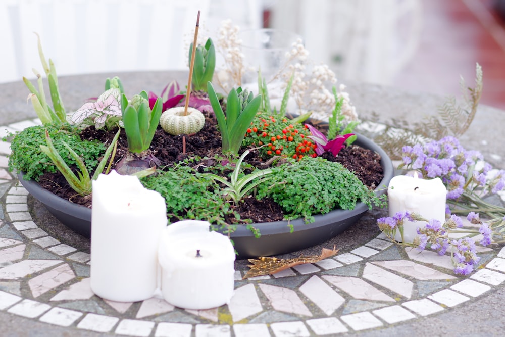 a table topped with a bowl filled with plants and candles