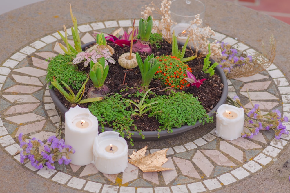 a table topped with candles and a pot filled with plants