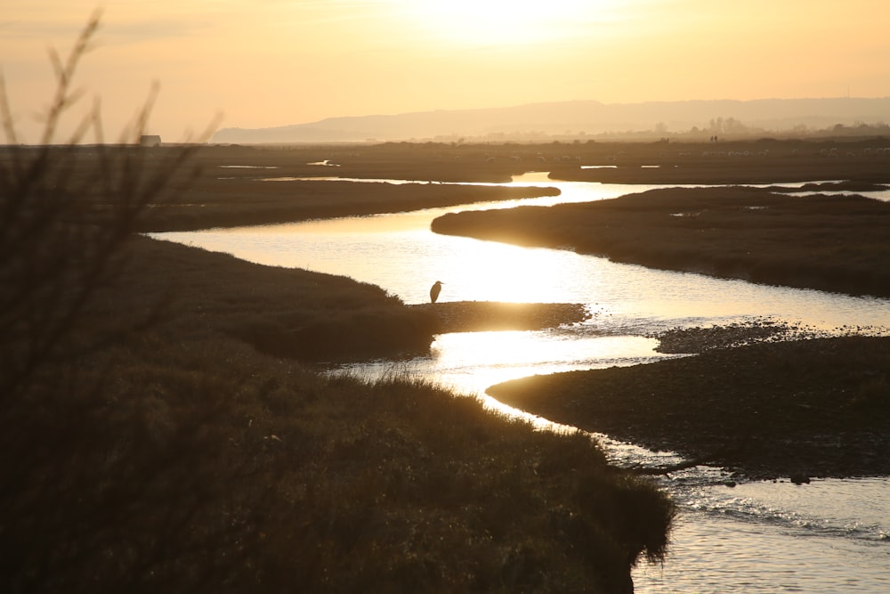 a person standing in a river at sunset