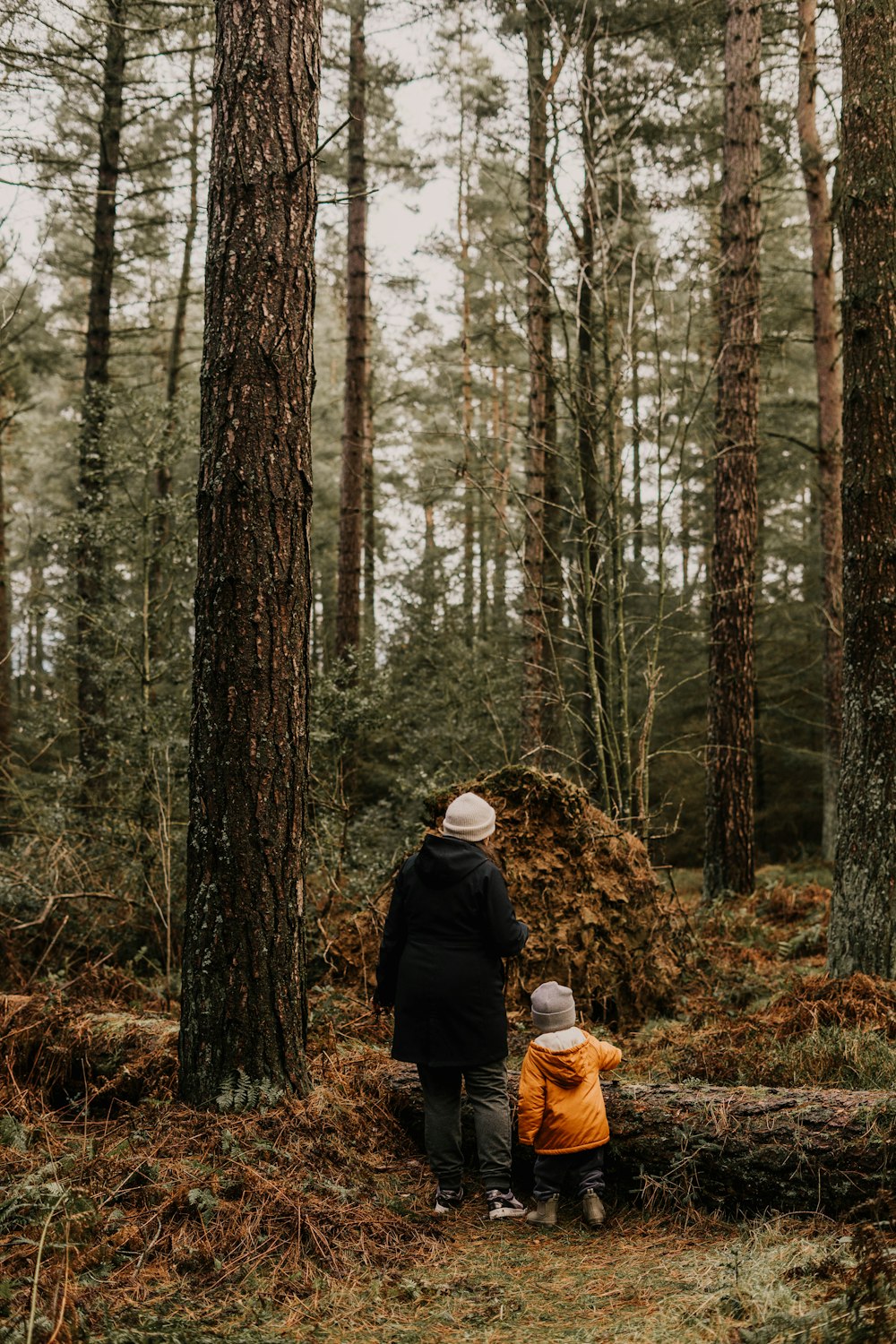 a man and a child standing in the woods