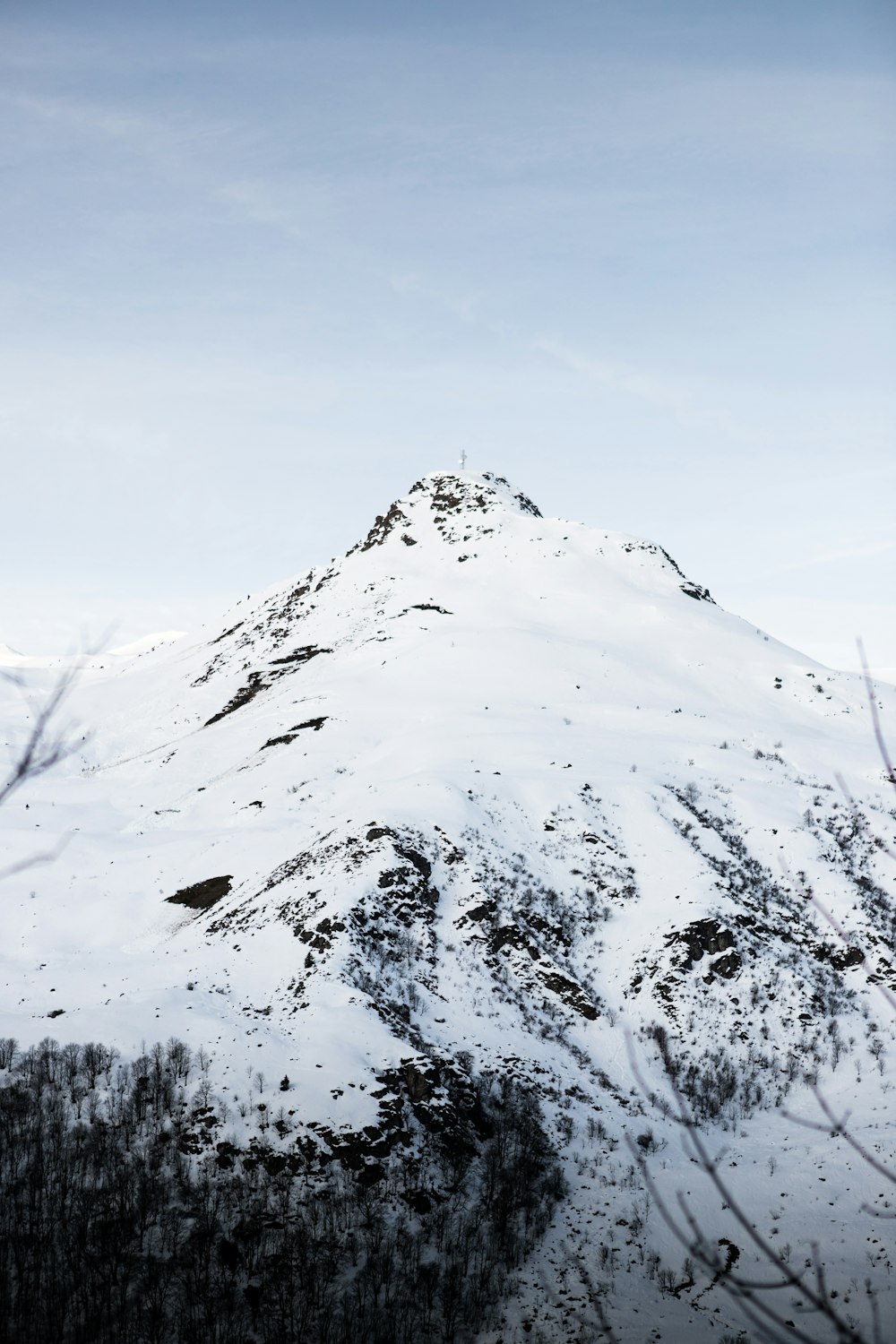 a snow covered mountain with trees in the foreground