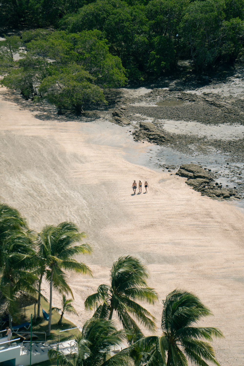 a group of people standing on top of a sandy beach