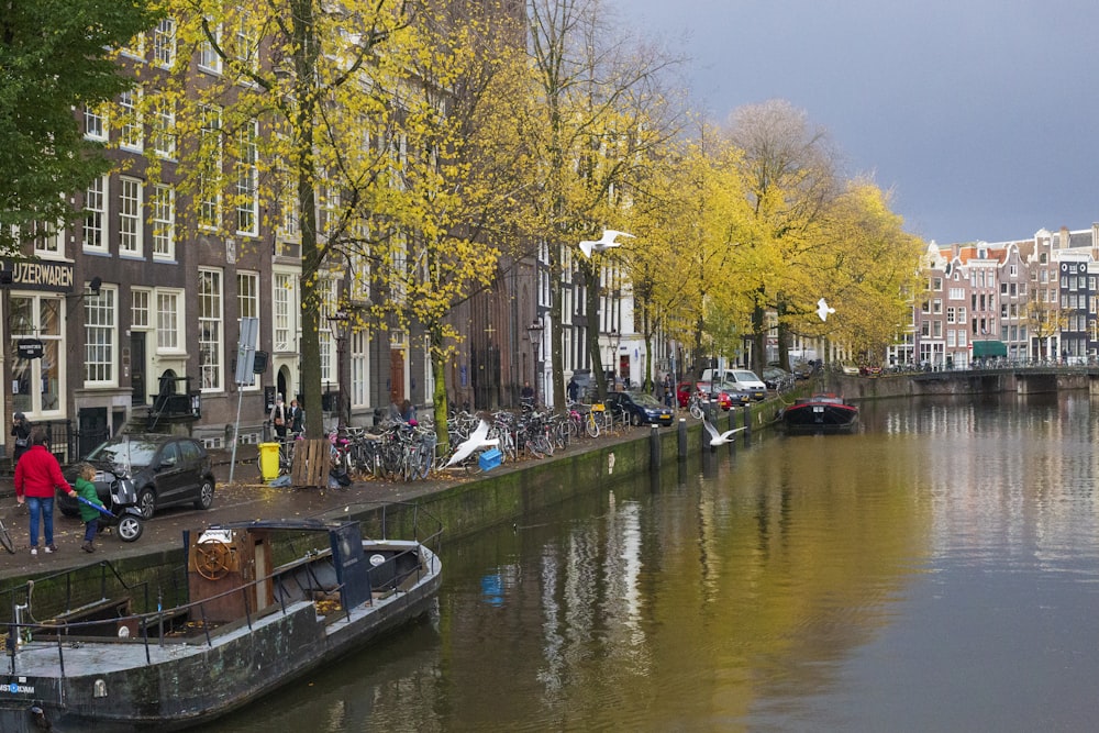 a boat is parked on the side of a river