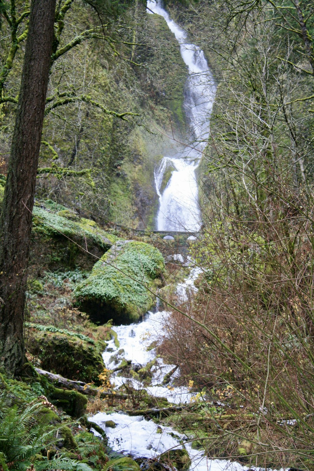 a waterfall in the middle of a forest