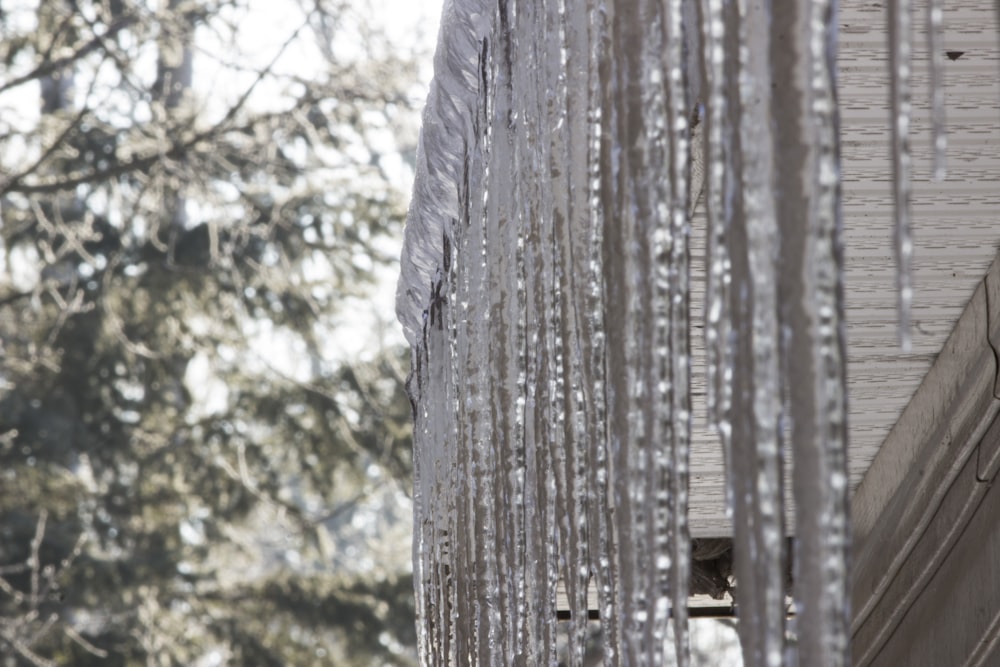 a close up of a building with a tree in the background