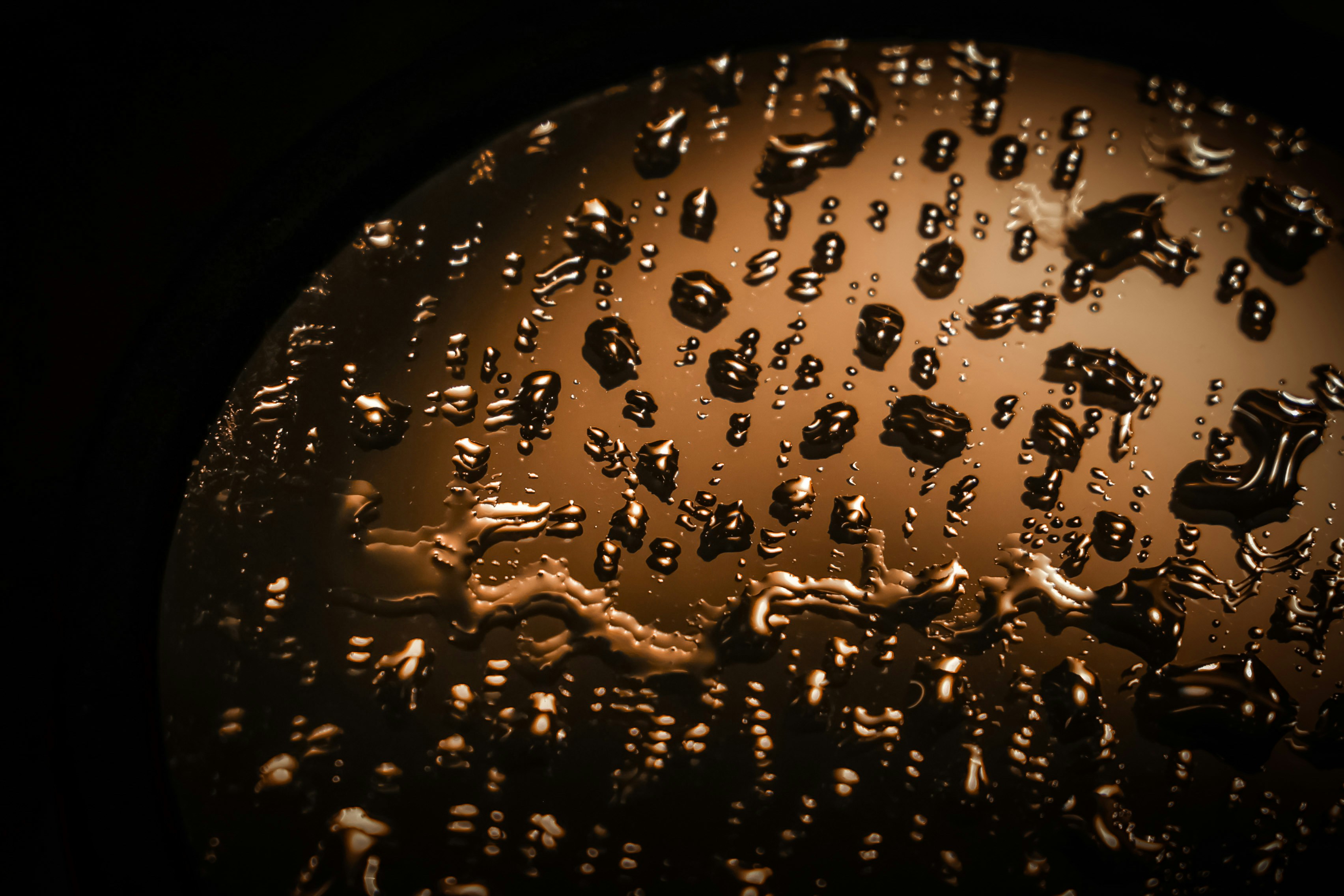 Photo by larisarunova