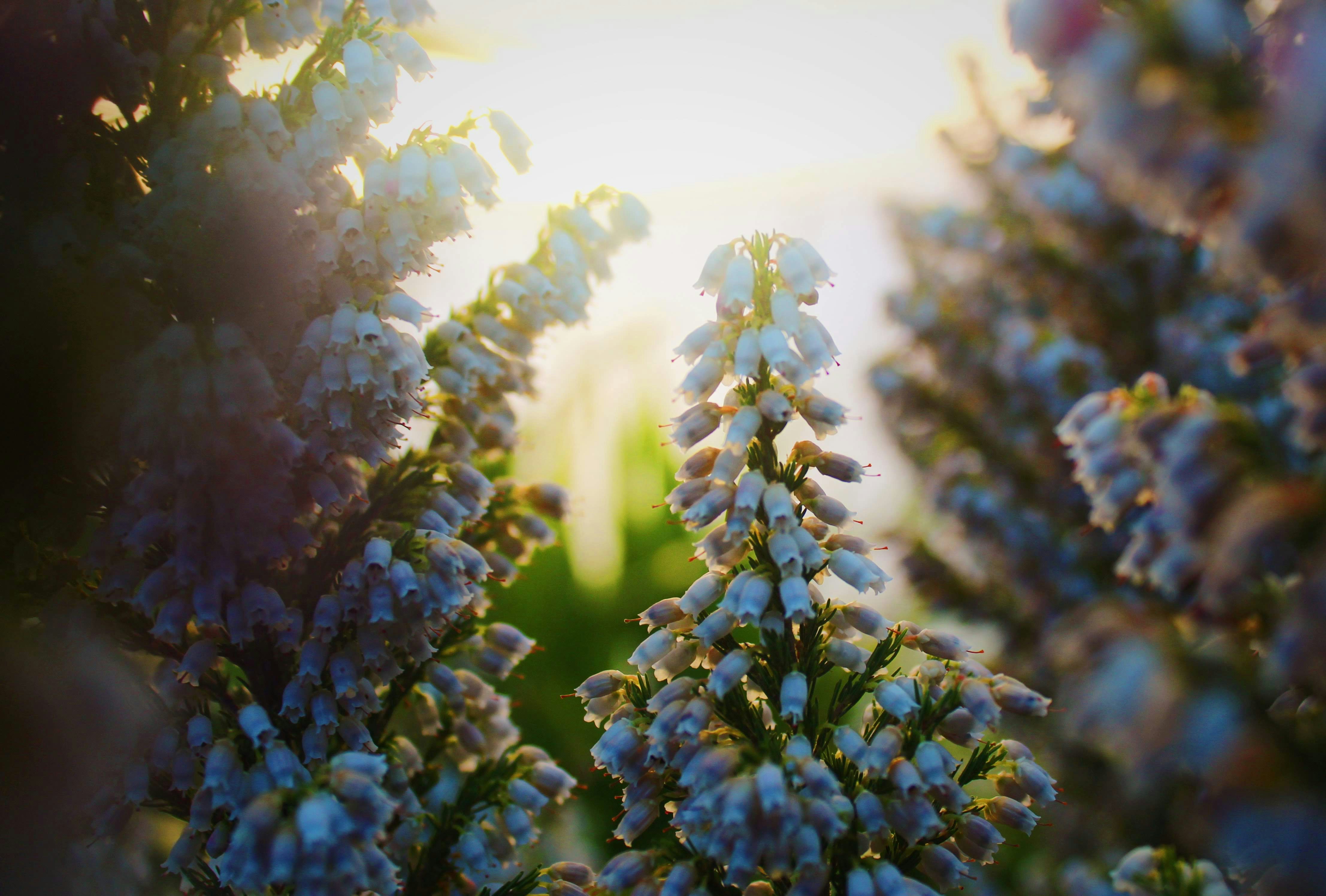 Photo by larisarunova