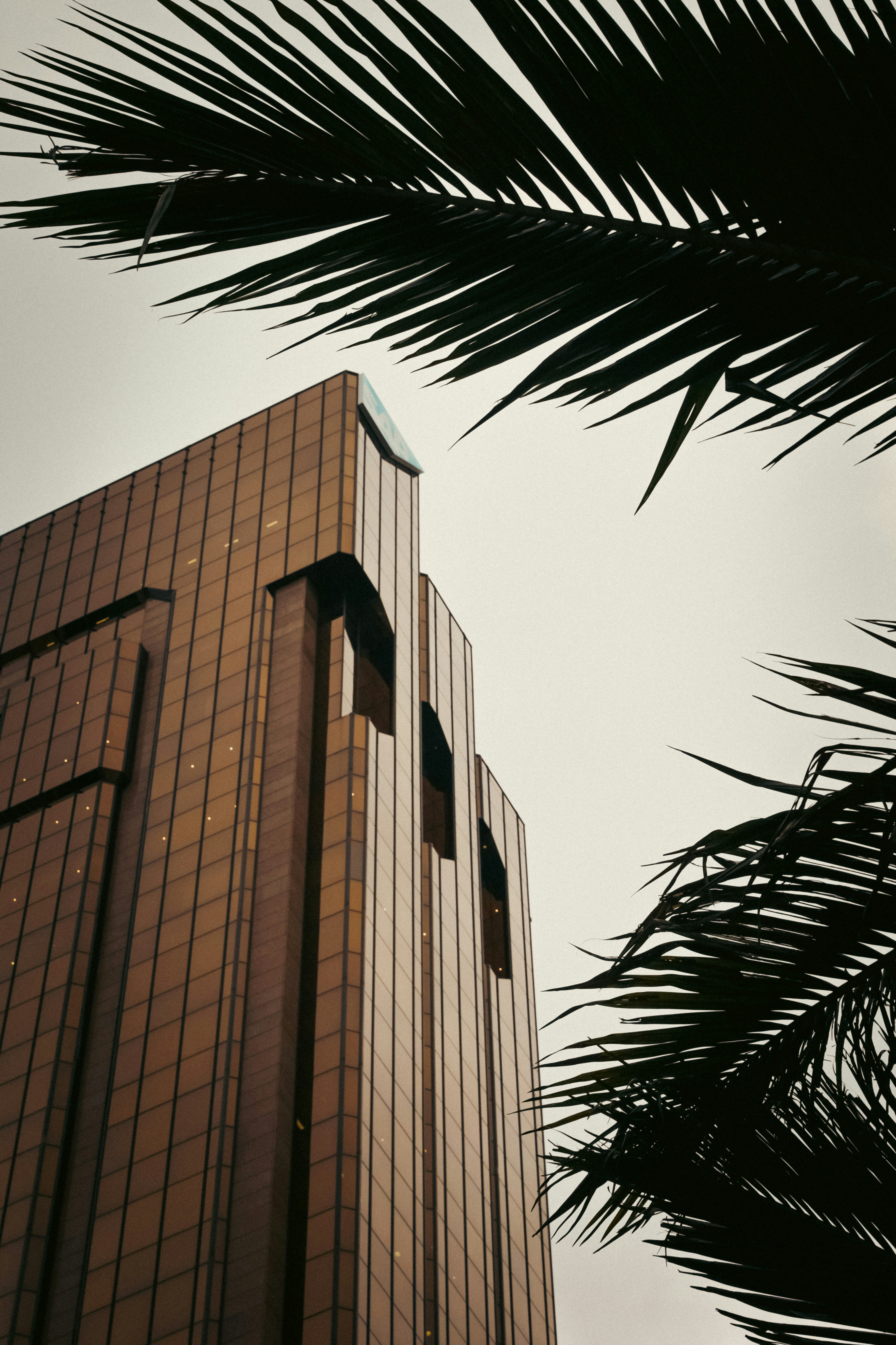 Photo by larisarunova