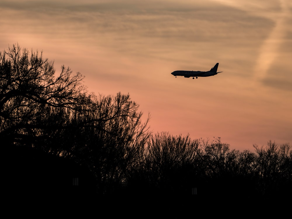 a plane is flying in the sky over the trees