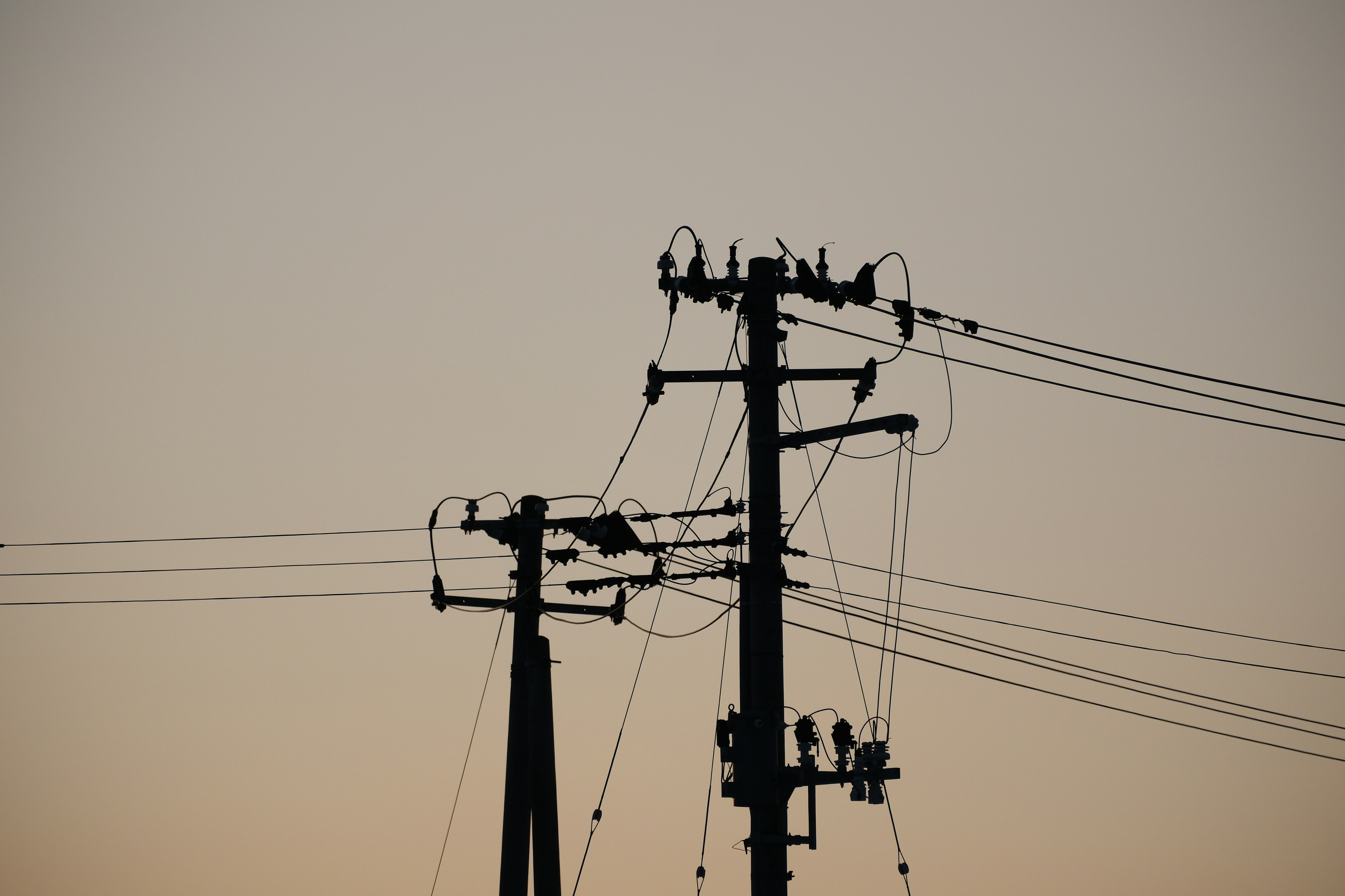 Photo by seiya_maeda