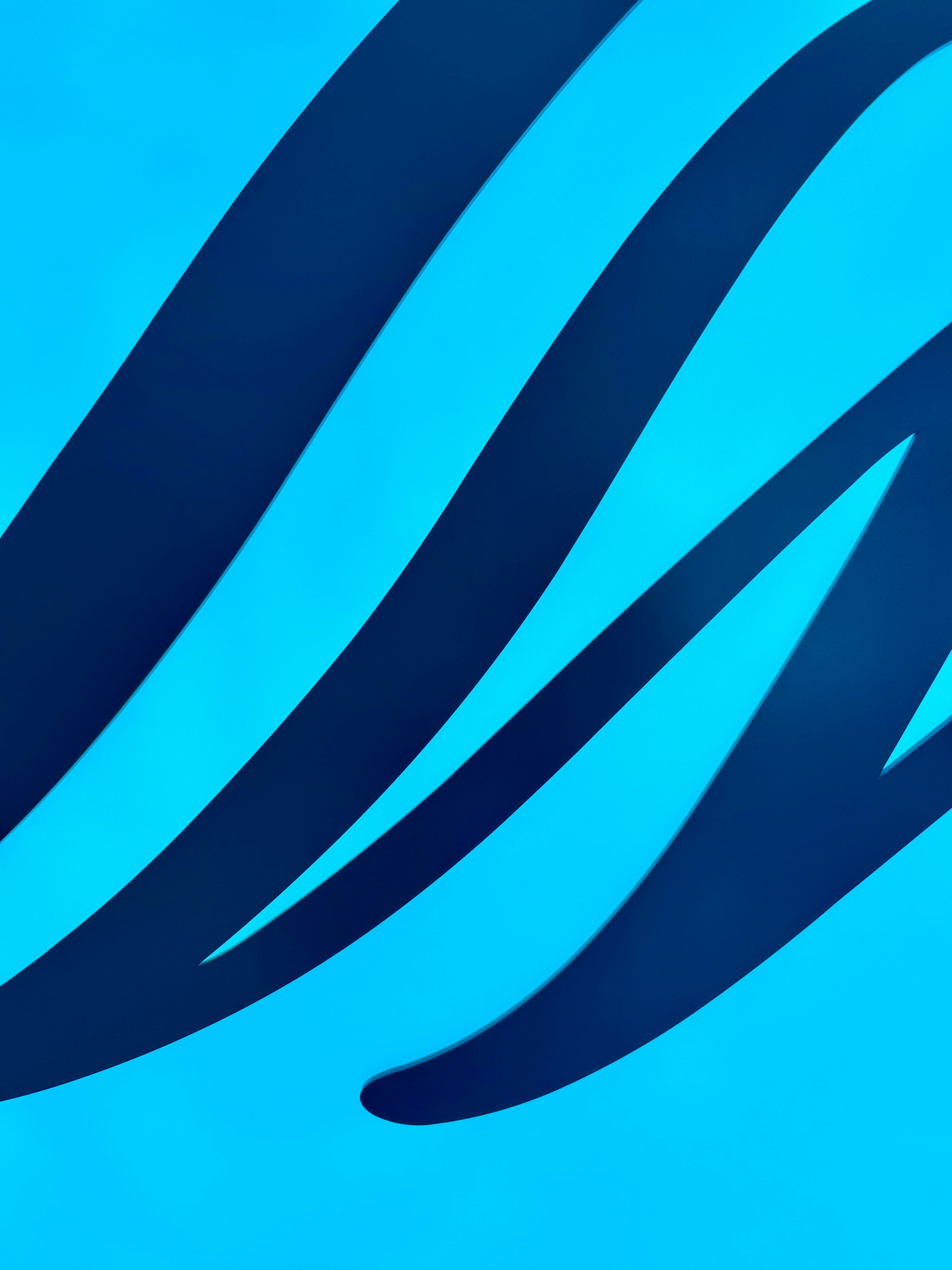 飛行機が空を飛ぶ青空の写真