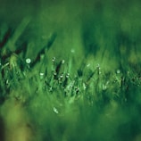Accessoires, Potagers et autres à petits prix.