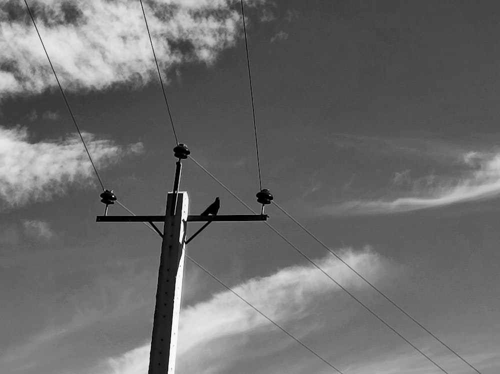 a black and white photo of a telephone pole