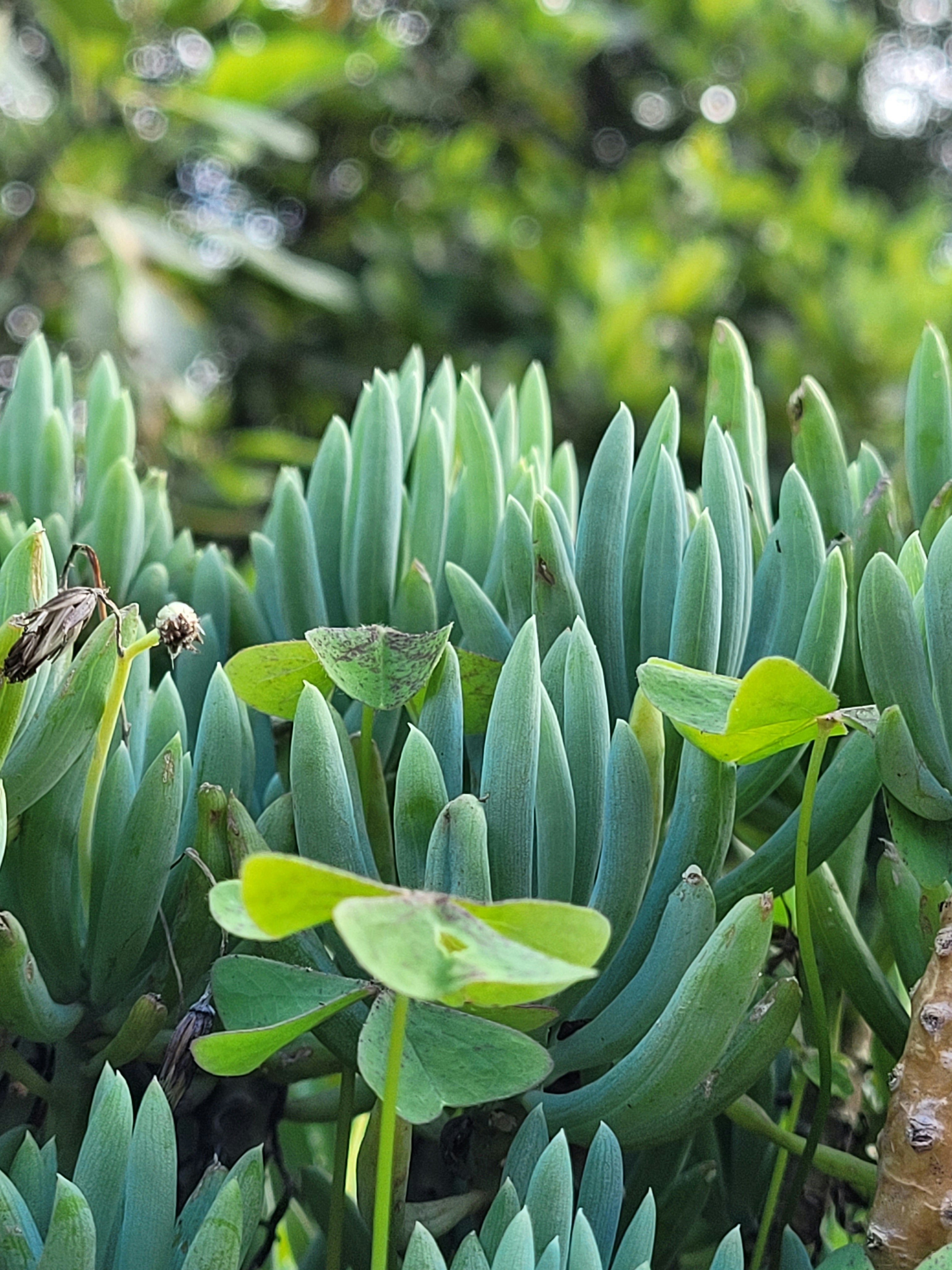 Photo by ifrahimtaqi619