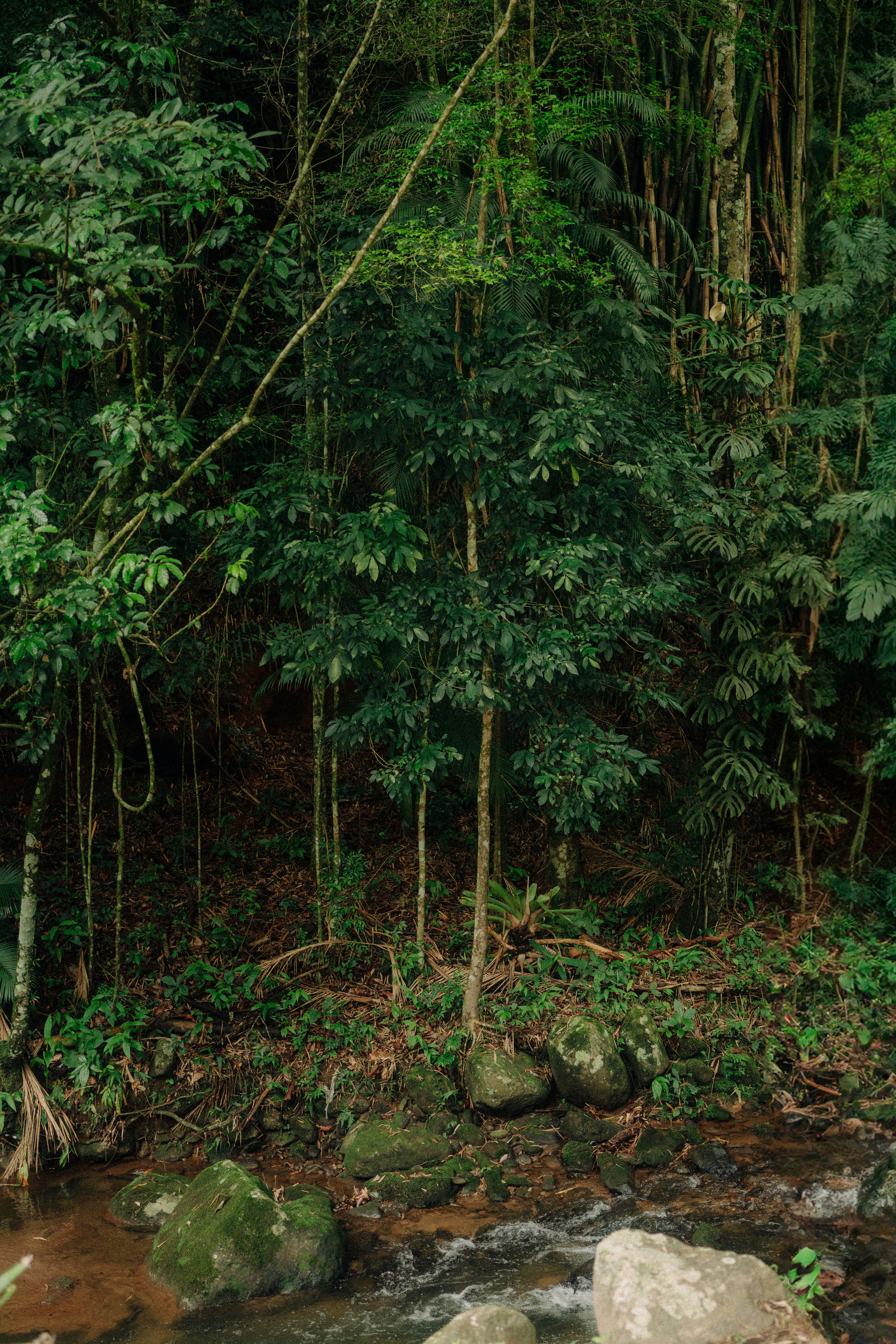 Photo by limamauro23