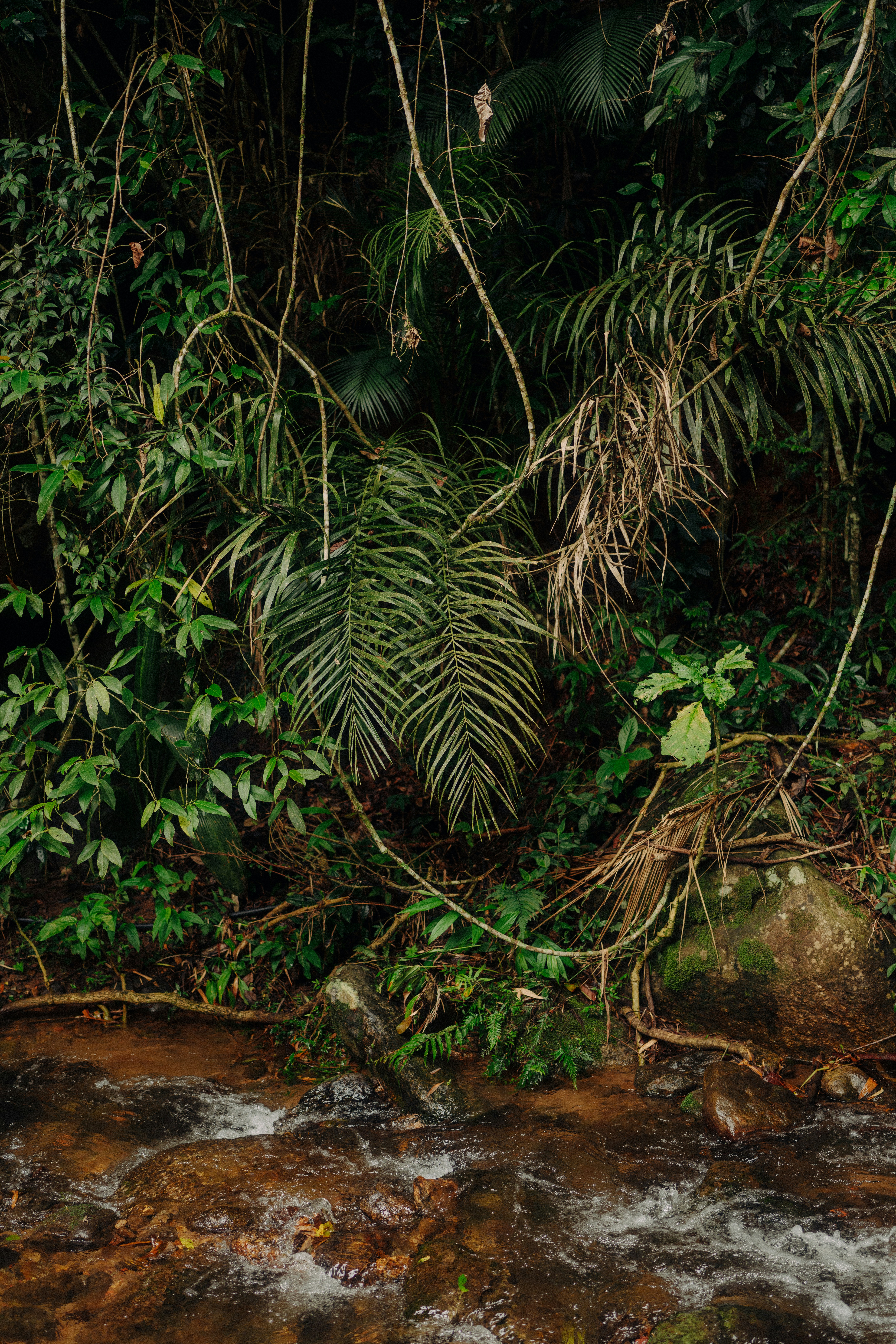 Photo by limamauro23