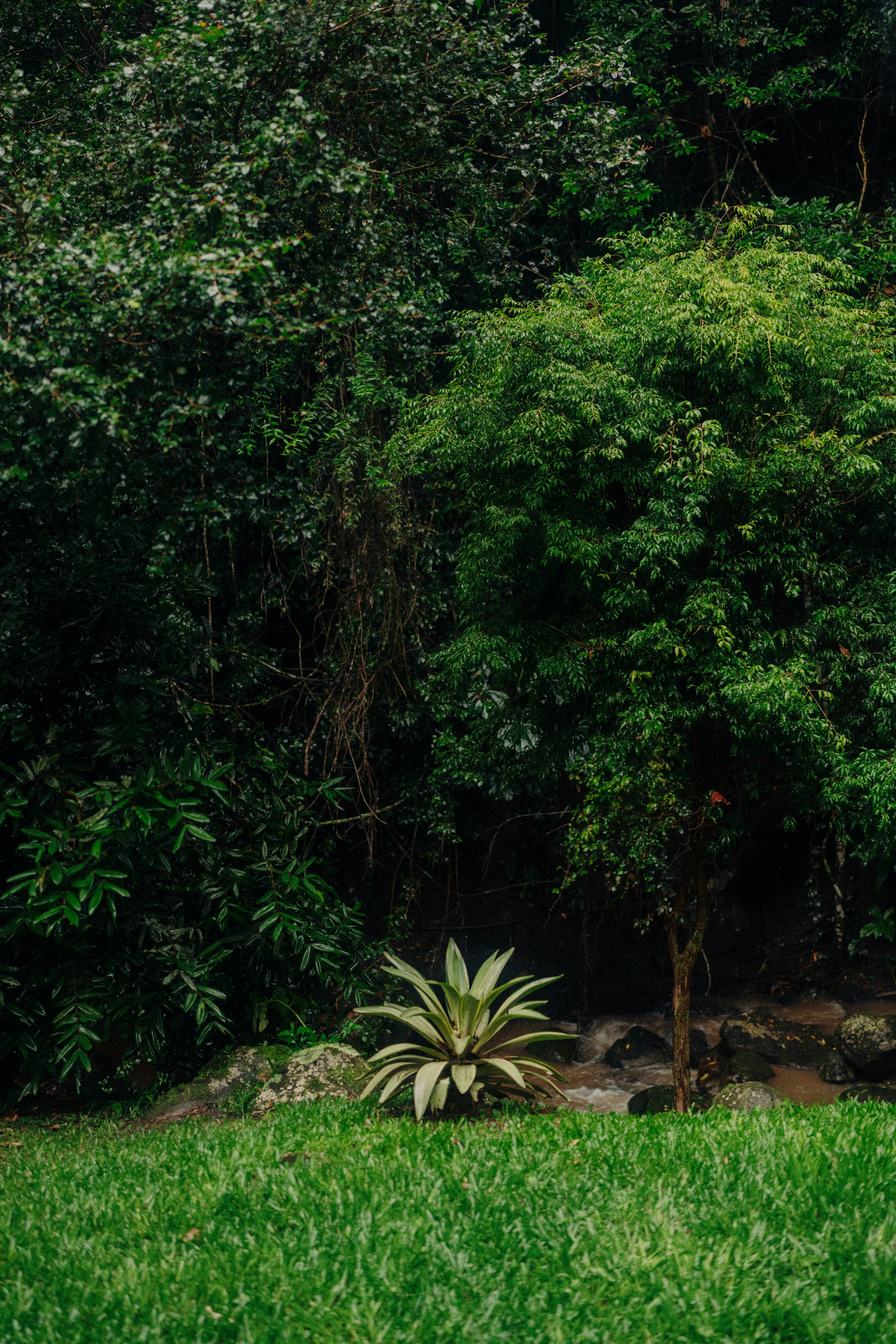 Photo by limamauro23