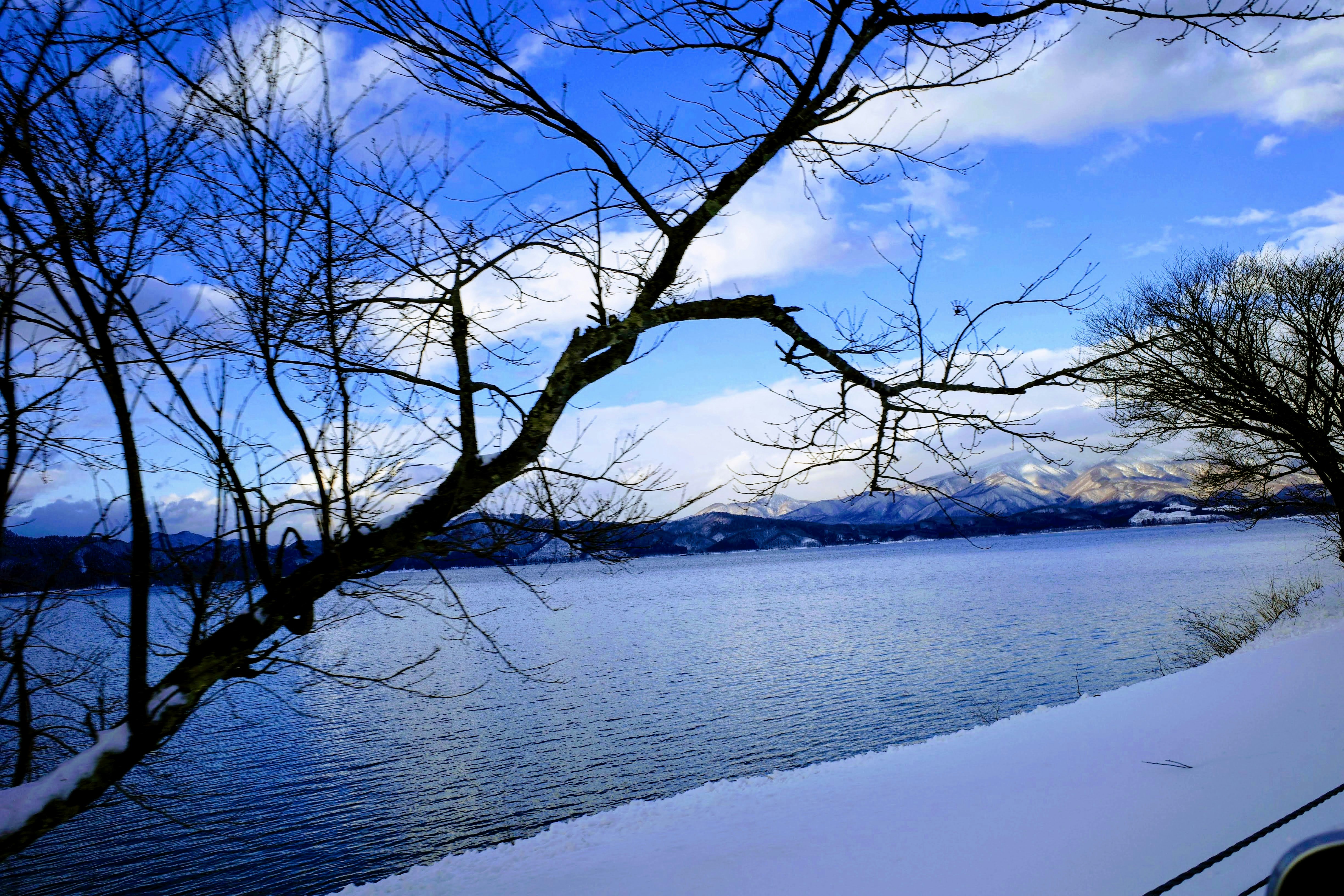Photo by hotakasaito
