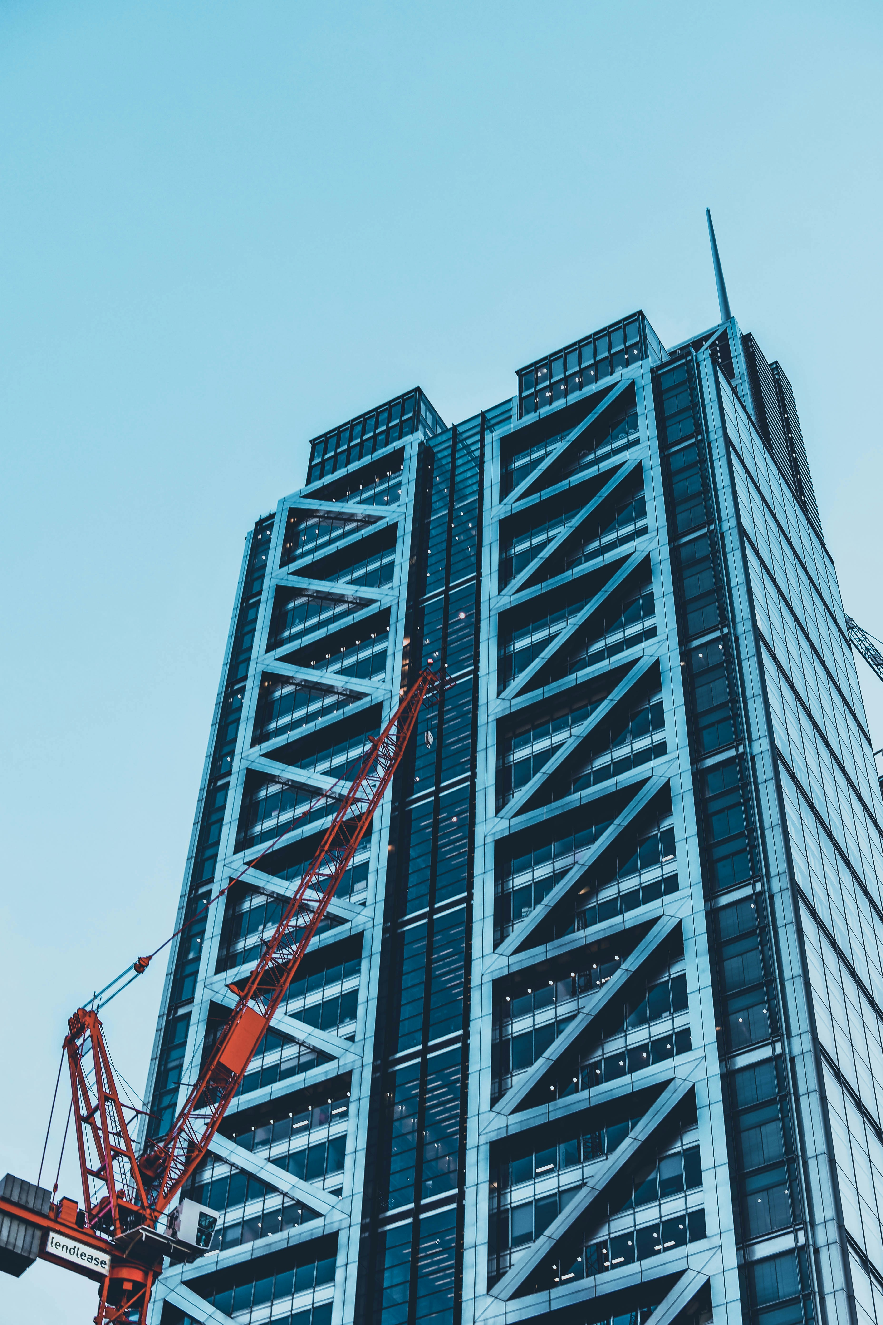 Photo by elisefarrow