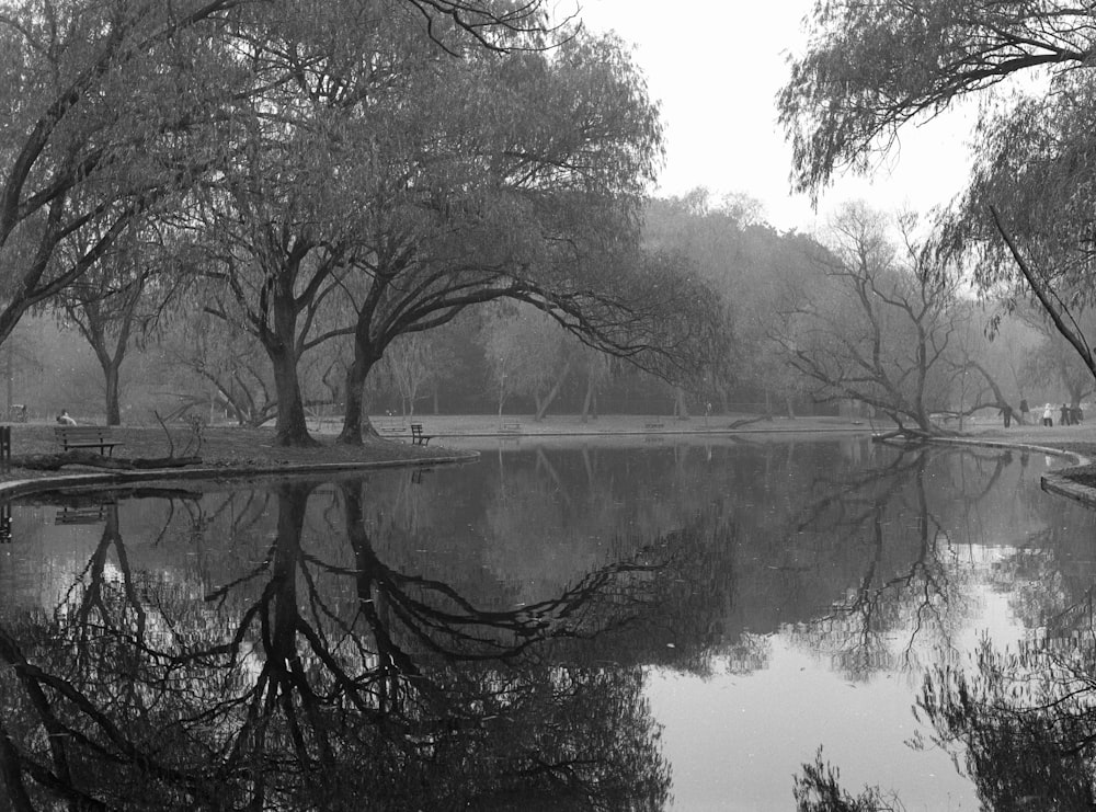 a black and white photo of a lake surrounded by trees