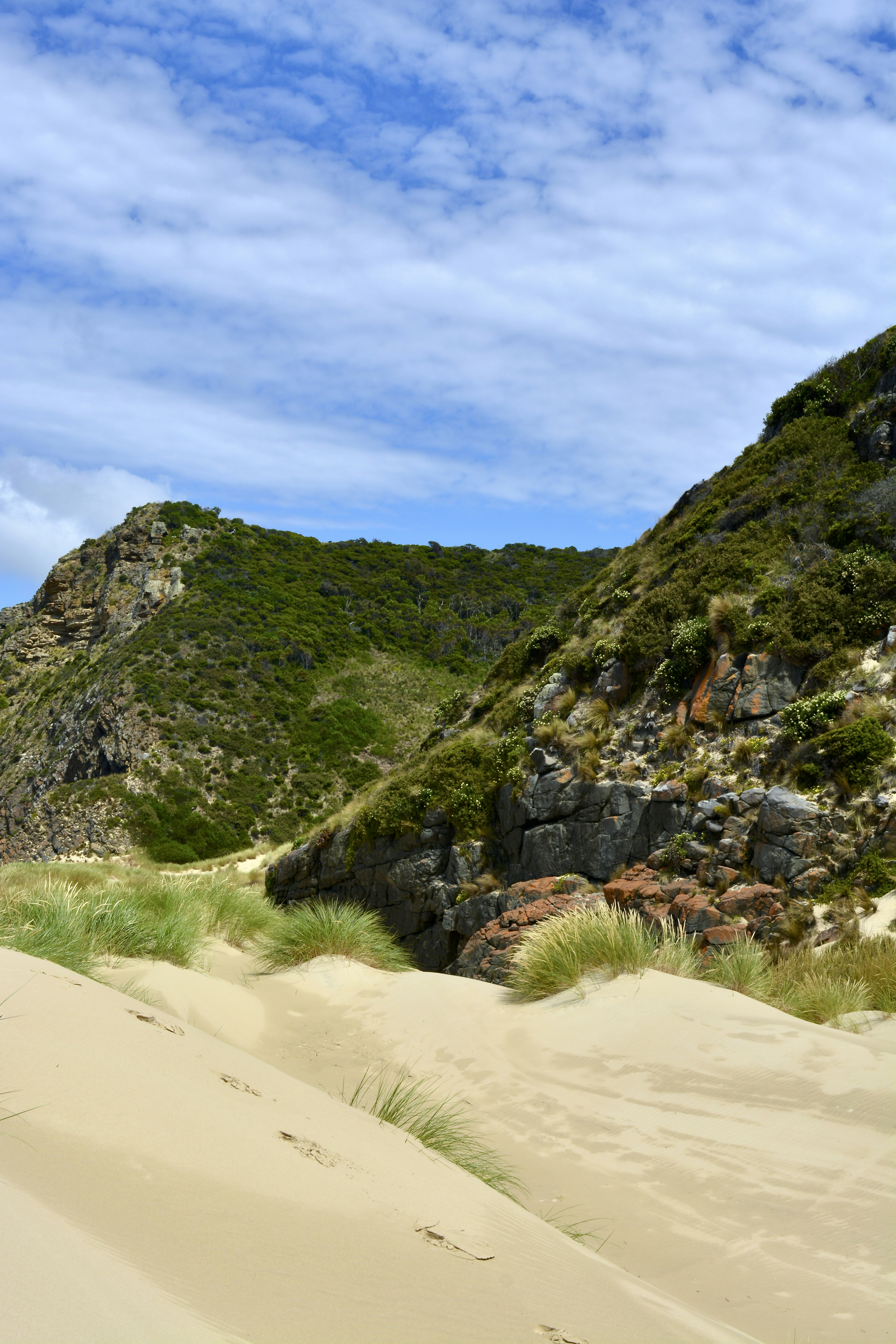 a sandy beach with a mountain in the background