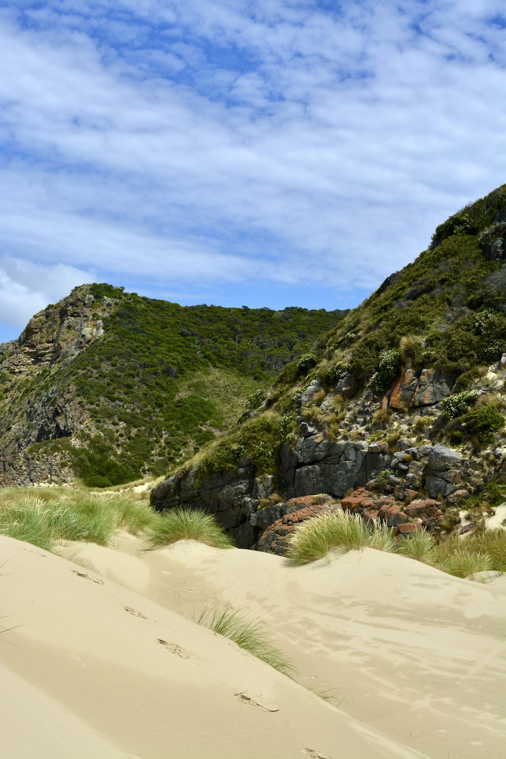 a sandy beach with a mountain in the background