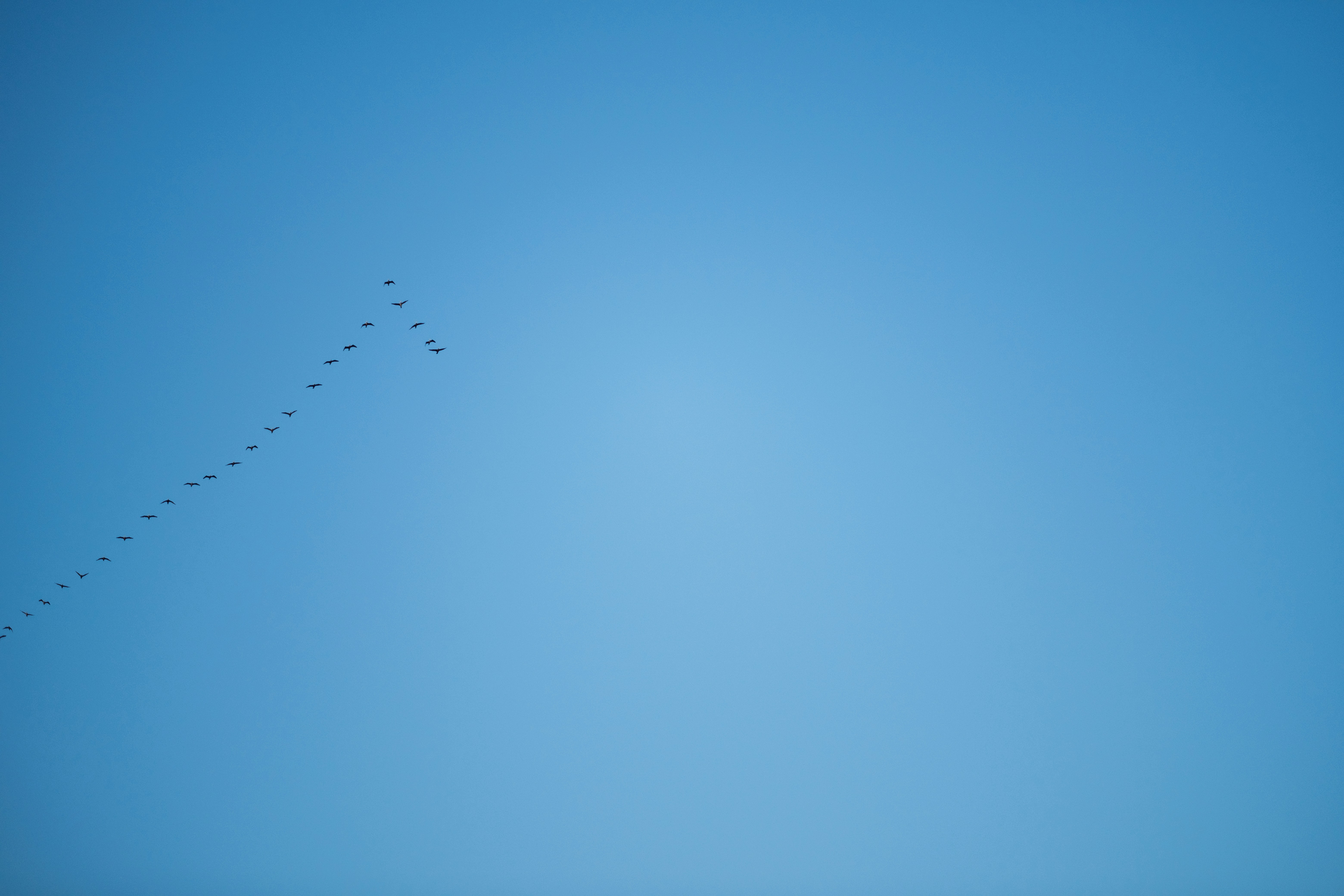 Blue Jays vs Mariners: The Ultimate Showdown