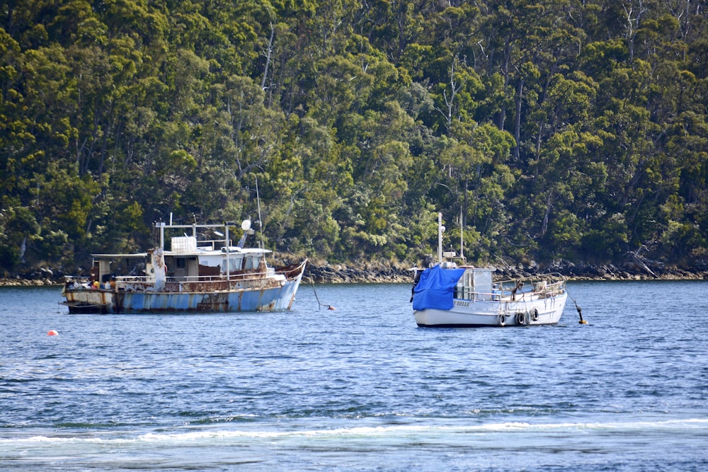 a couple of boats that are in the water