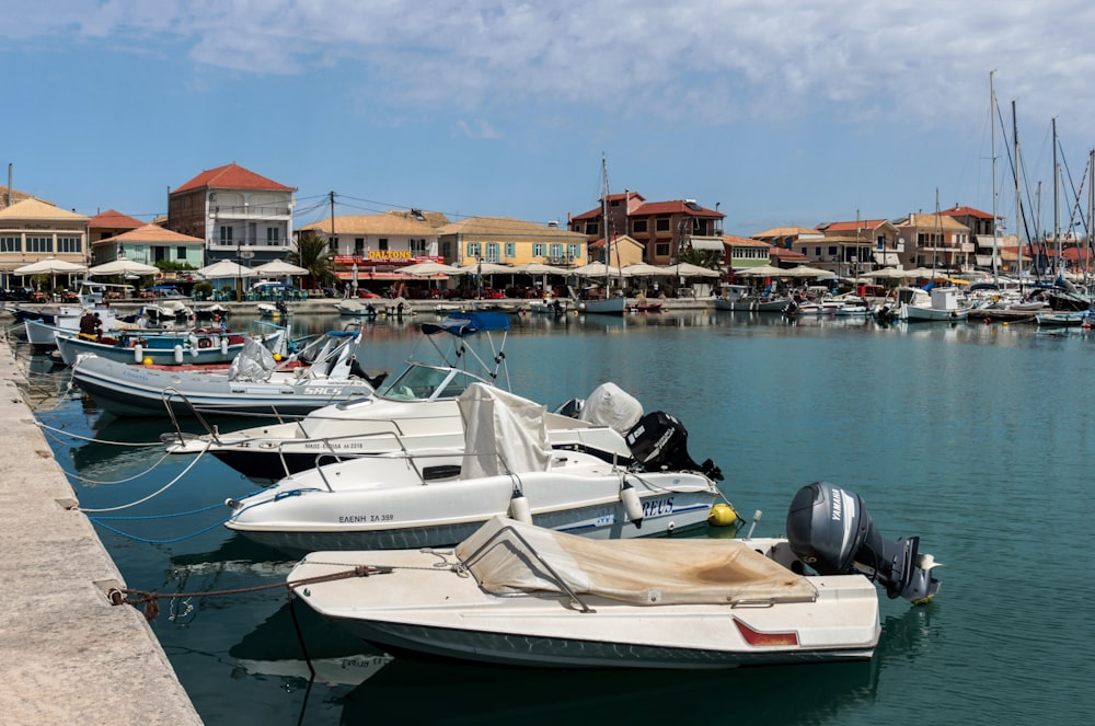 a harbor filled with lots of small boats