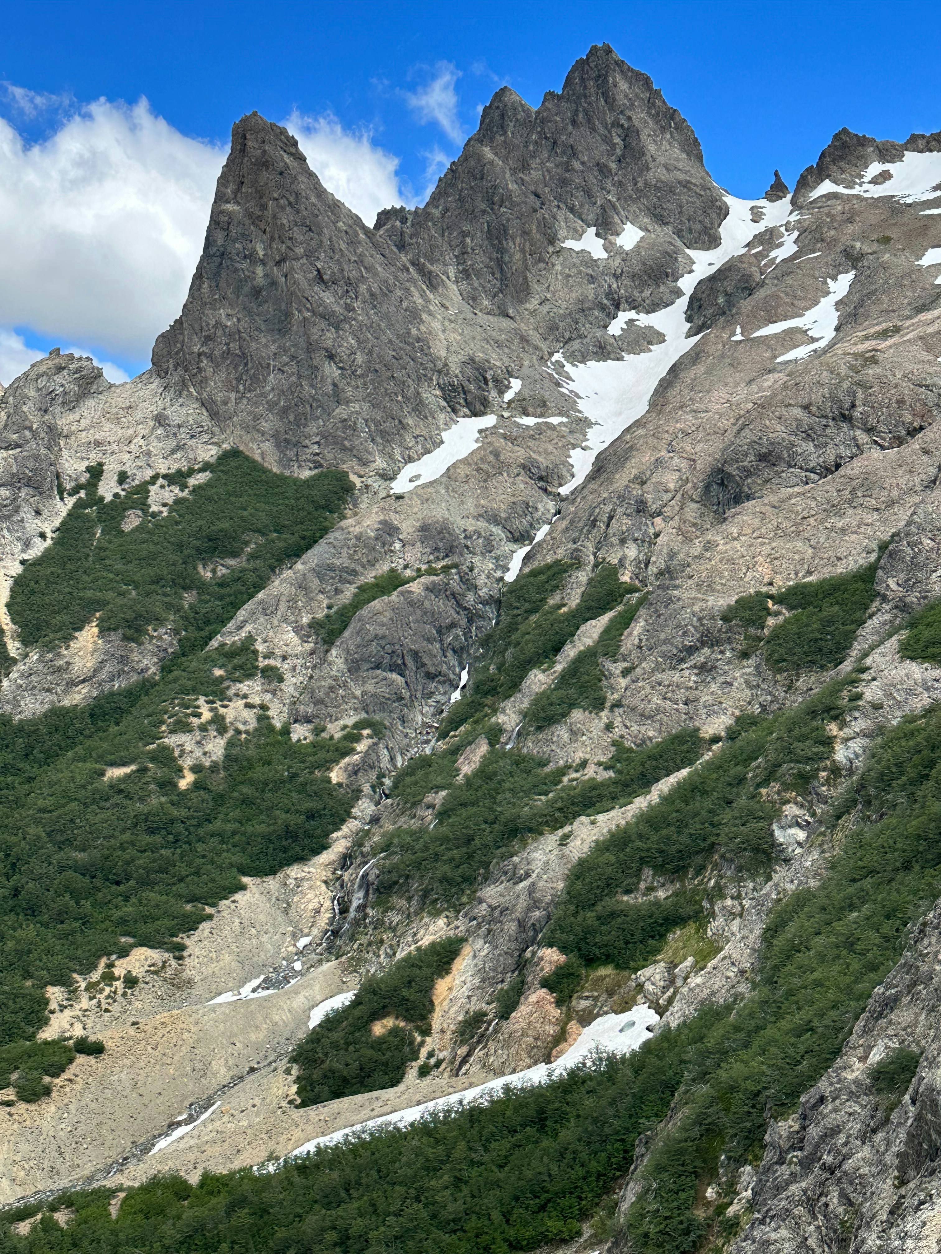 Photo by estebancolla