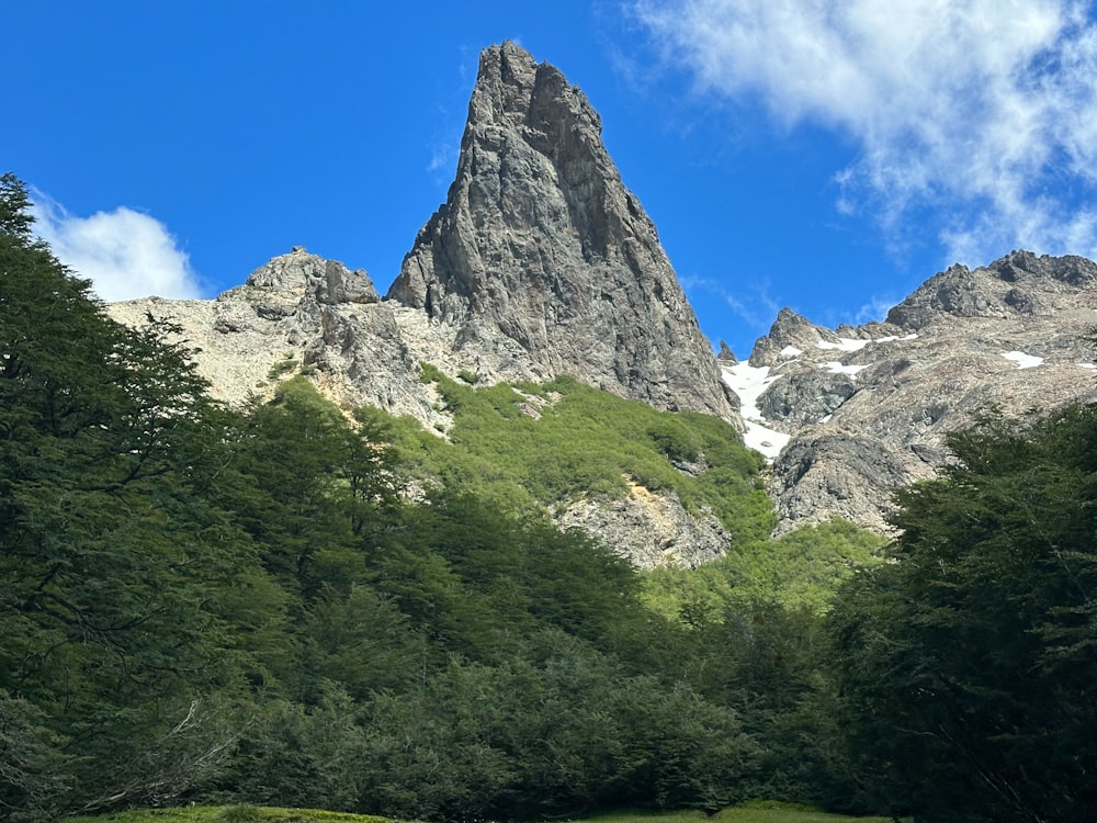 a mountain range with trees and grass in the foreground