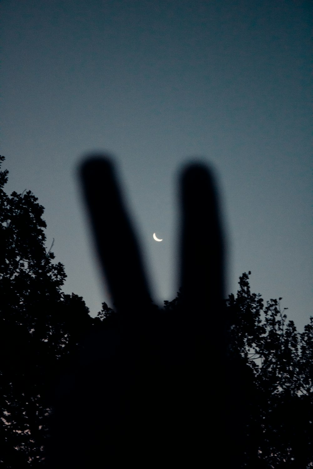 a silhouette of a person's face with the moon in the background