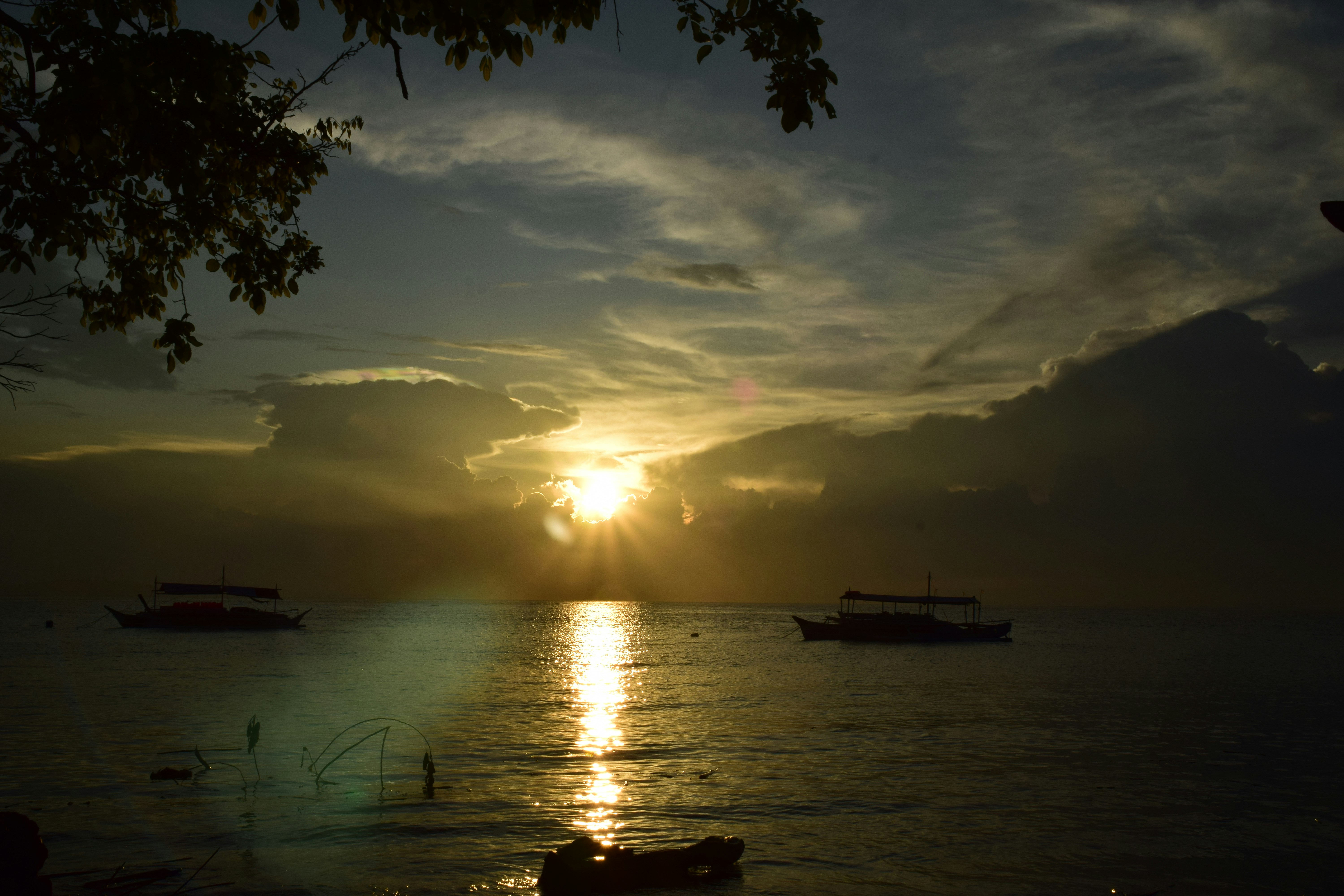 Photo by petfrap