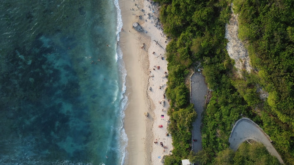 a bird's eye view of a beach with people on it