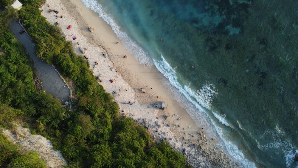 an aerial view of a beach with people on it