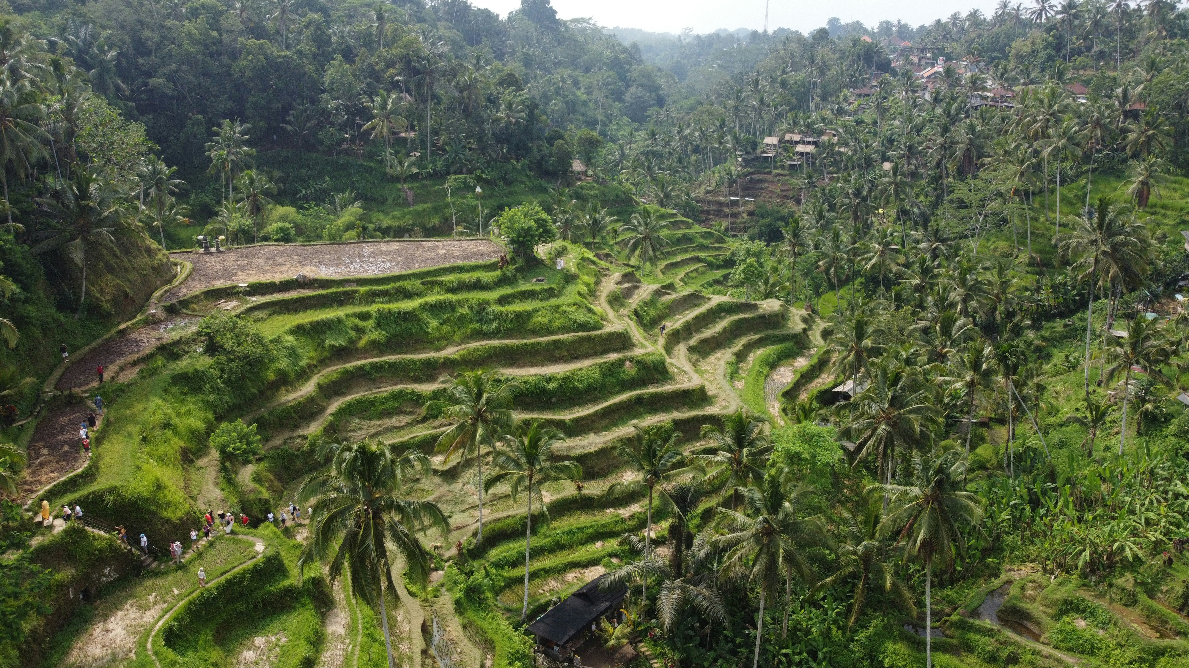 Photo by lorenzoangeli1995